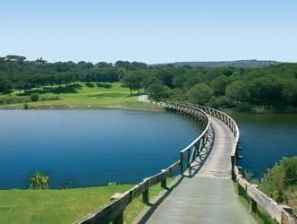 A wooden bridge over a body of water in a green landscape with trees and rolling hills.