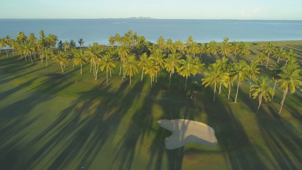 An aerial view of a tropical golf course with numerous palm trees and a sand trap near the ocean.