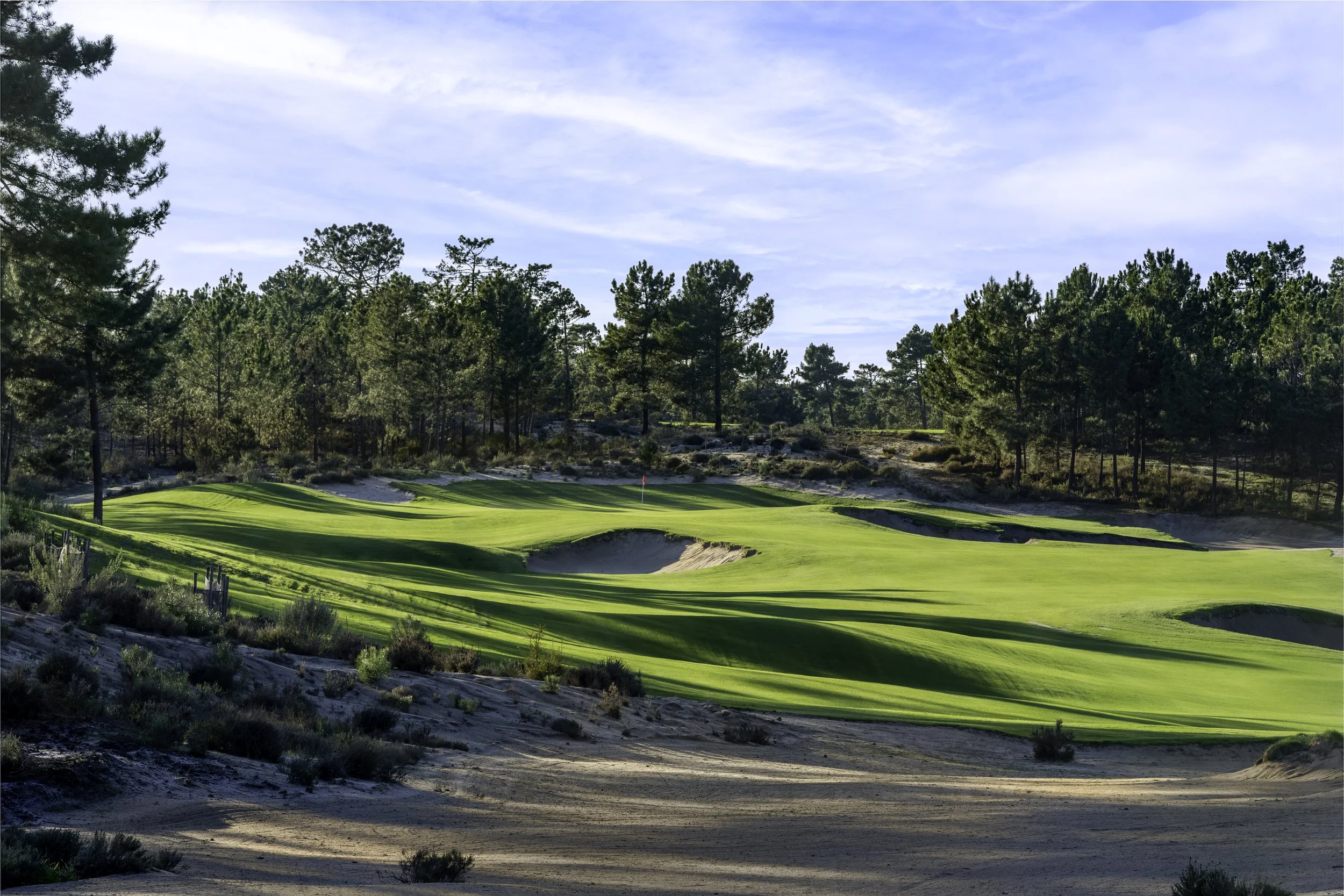 A golf course surrounded by pine trees with a clear blue sky overhead.