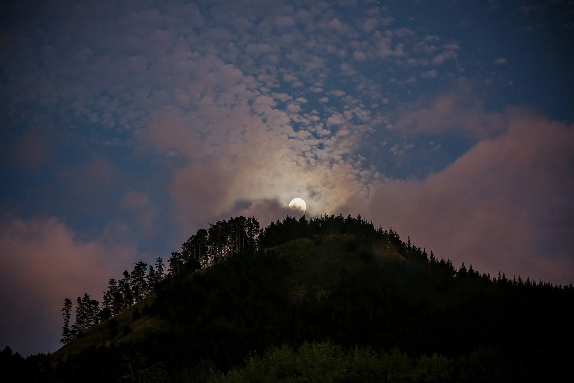 DSCF9758.jpg