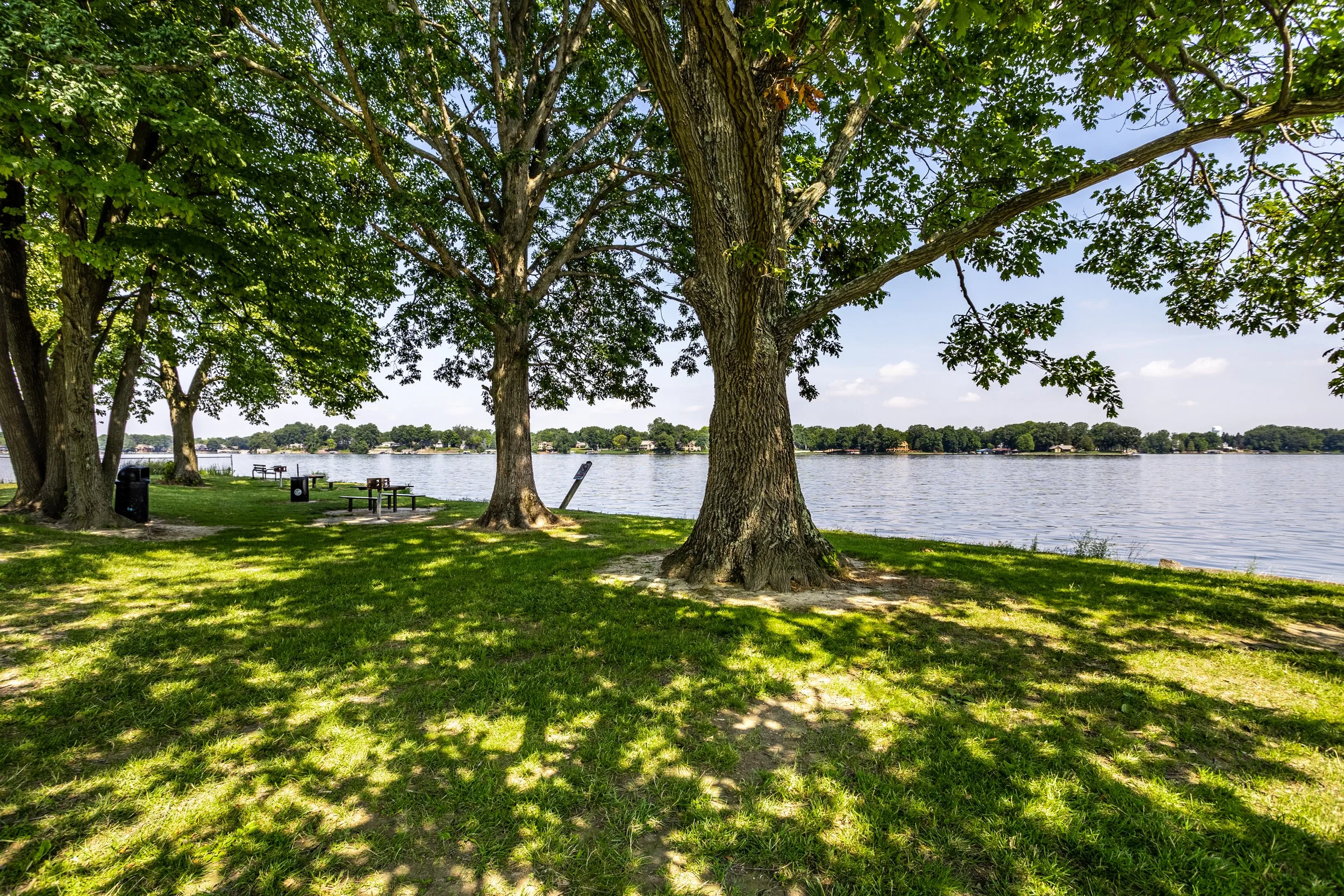 Shaded riverside park with large trees, benches, grassy area, and water in the background, under a partly cloudy sky.