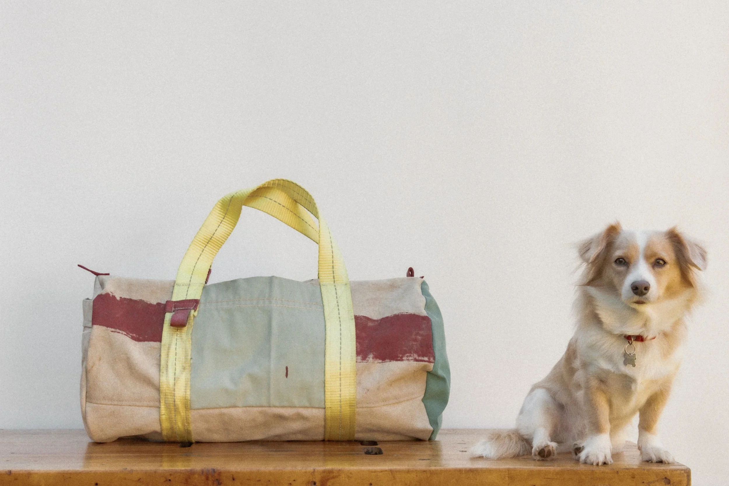 A canvas duffel bag with yellow straps and red accents placed on a wooden surface, next to a small dog with light brown and white fur, wearing a red collar, sitting on the same surface.