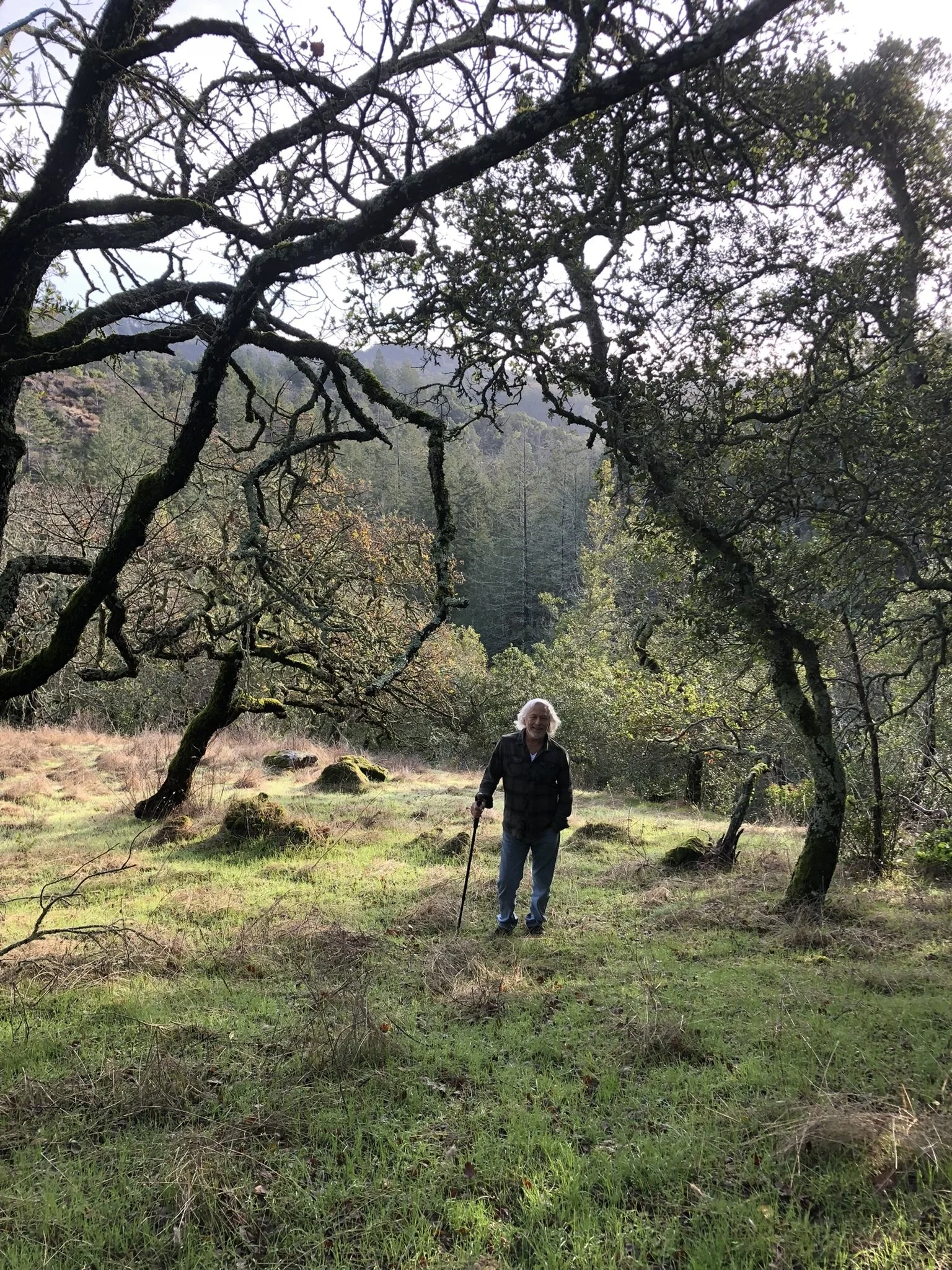 An elderly man with gray hair, wearing a black vest and blue jeans, stands on a grassy clearing within a wooded area holding a walking stick. Overhanging tree branches frame the scene, with a backdrop of dense forest and mountains.