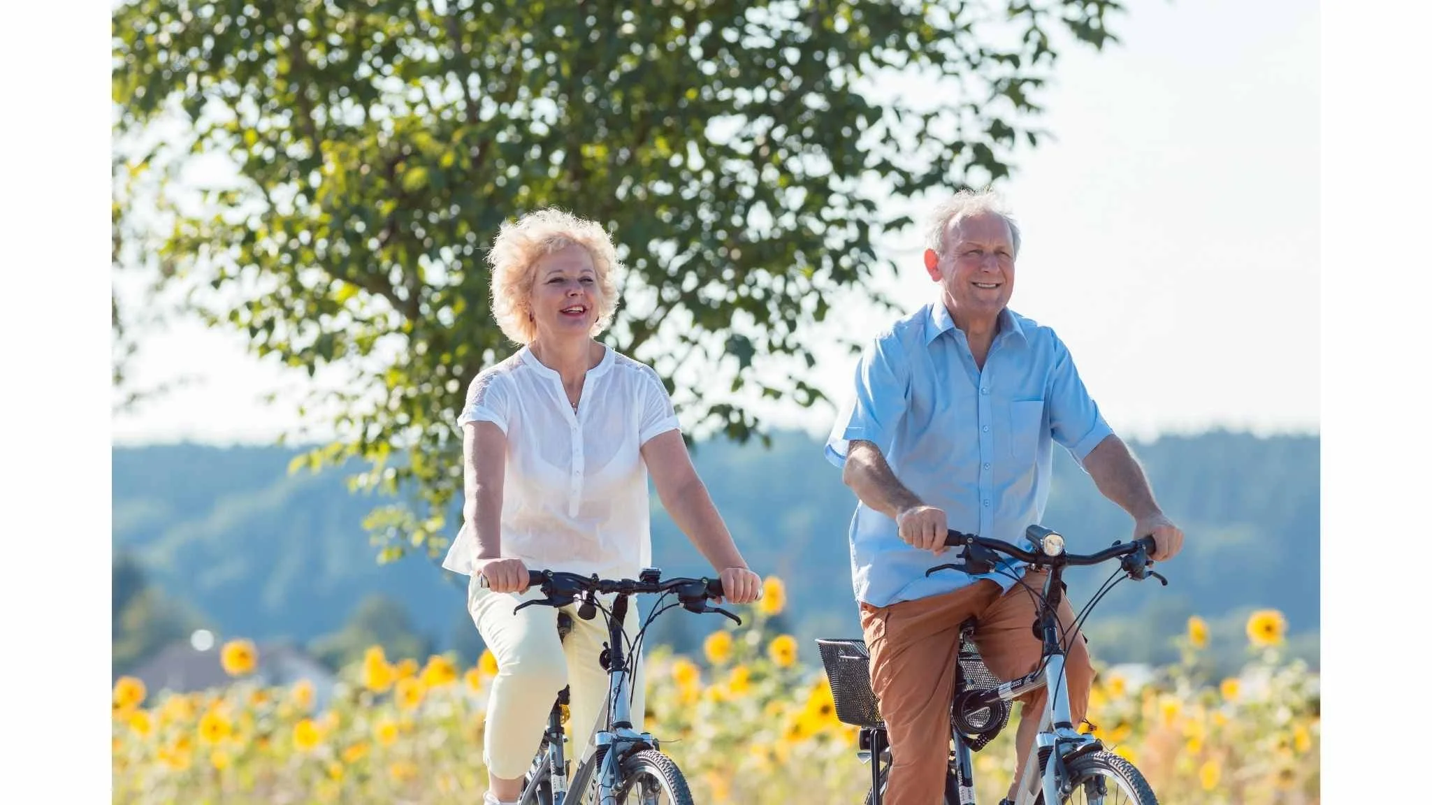 An elderly couple riding bikes on a sunny day in a field of sunflowers with trees in the background.