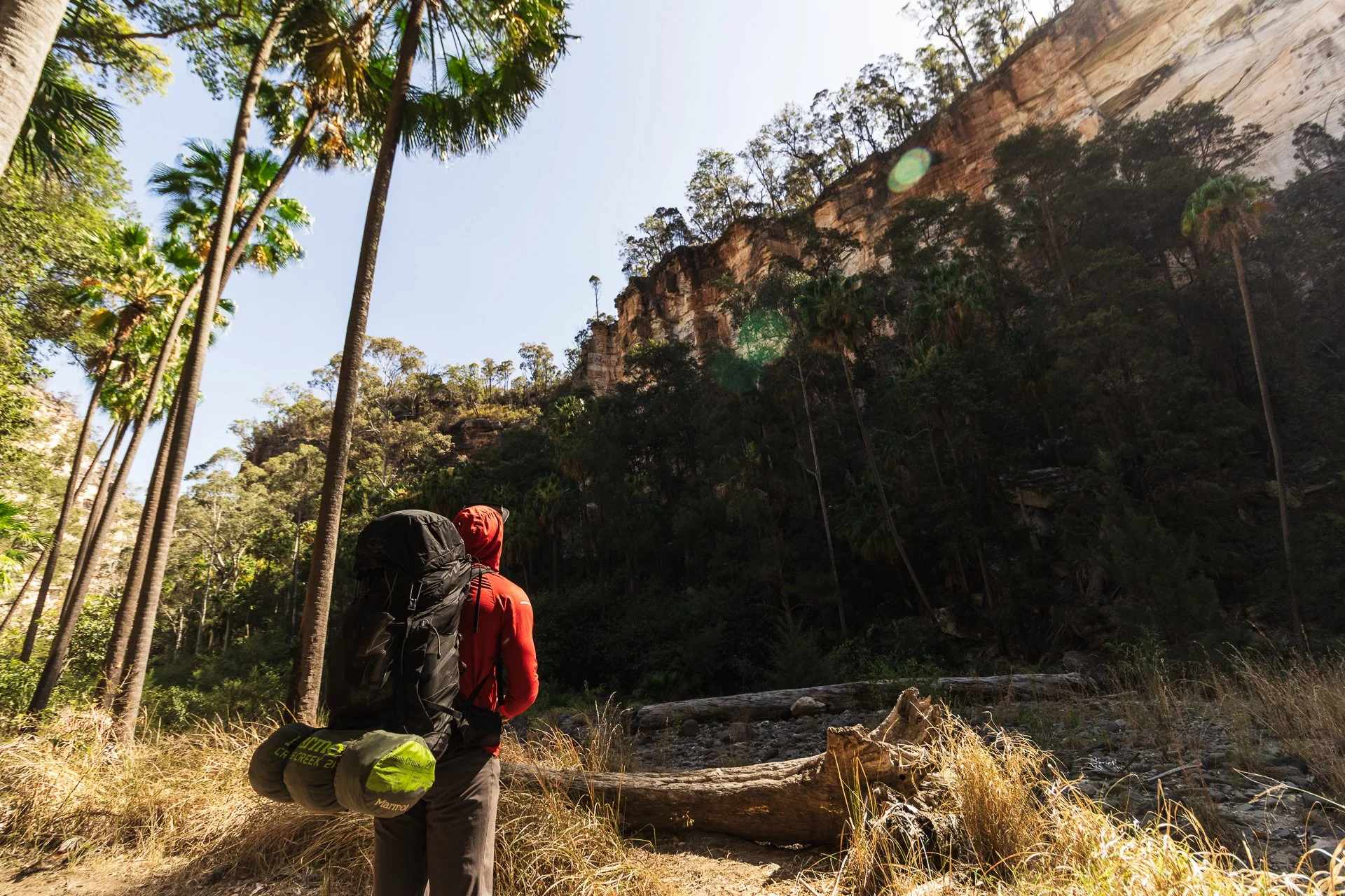 Carnarvon Gorge GW-61.jpg
