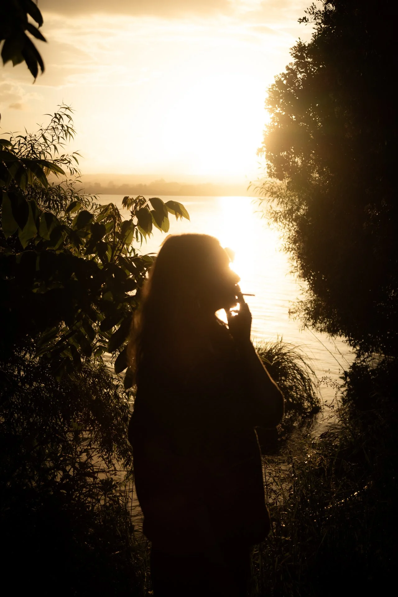 Silhouette of a woman standing by water at sunset, surrounded by trees and foliage.