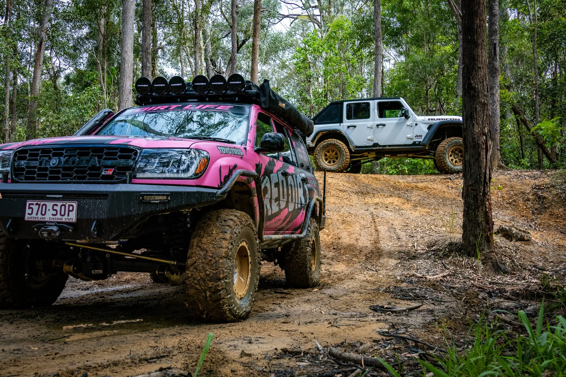 Two off-road vehicles, a pink Toyota Tacoma and a white Jeep Gladiator Rubicon, are parked on a dirt trail surrounded by trees in a forest. The Toyota has mud on its tires and a roof rack with lights, while the Jeep is elevated on a small hill.
