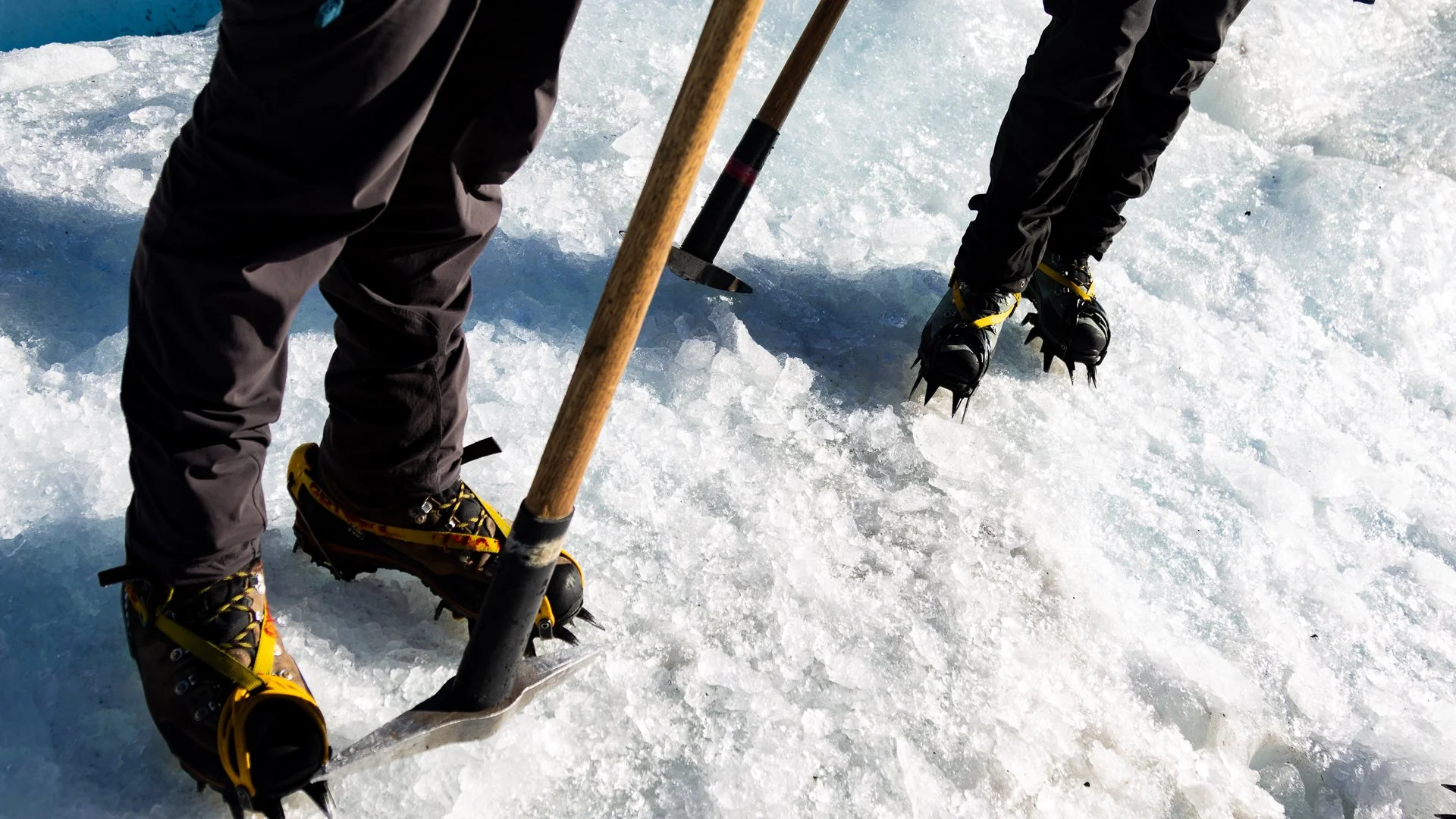 People wearing snowshoes and using a shovel on snowy ground, likely engaging in winter outdoor activity.