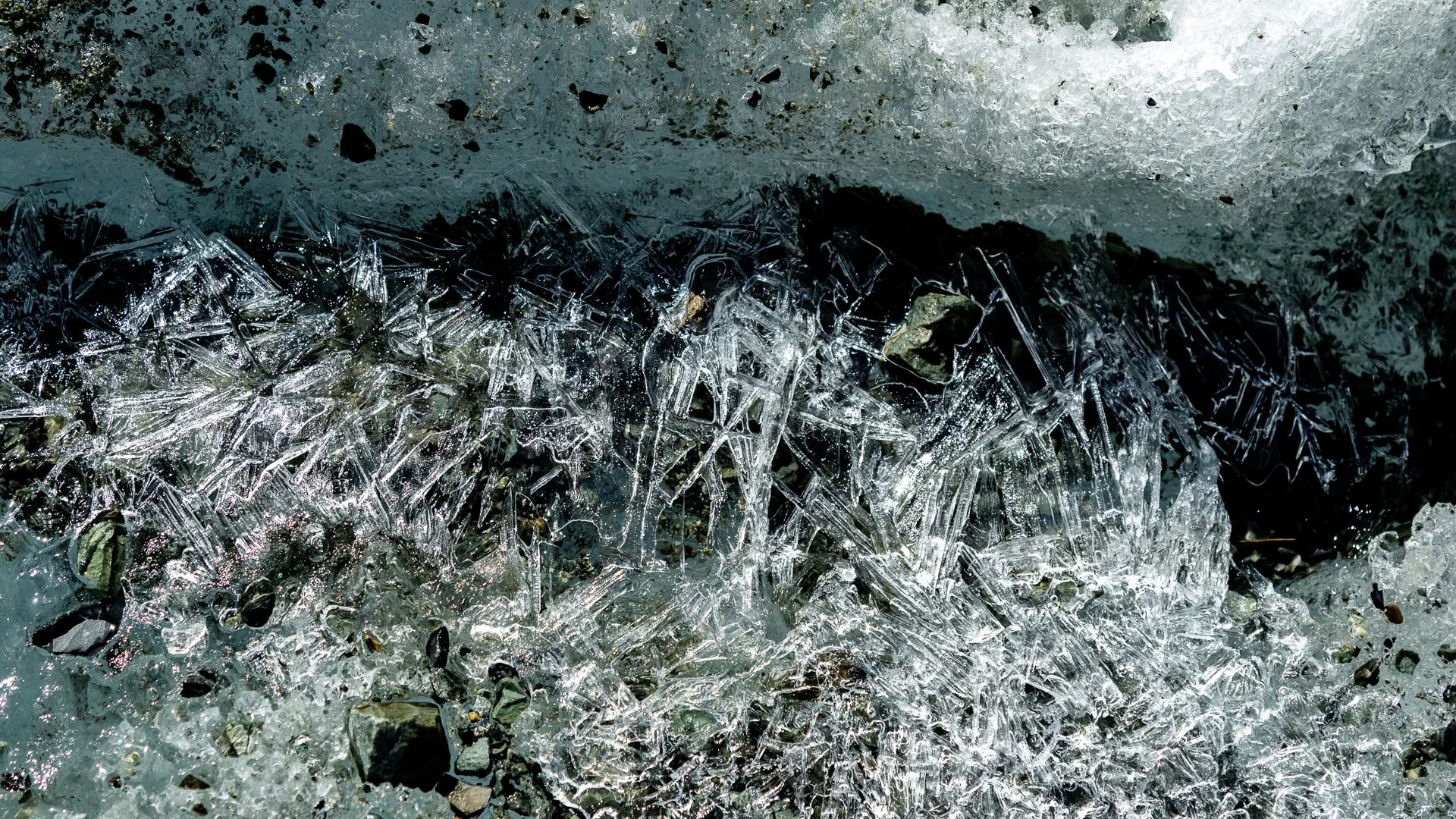 Close-up of a layer of broken ice on the ground with small stones and debris, sunlight reflecting off the ice.