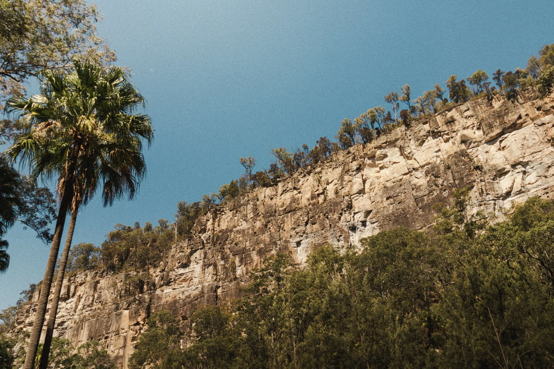 Carnarvon Gorge GW-56.jpg
