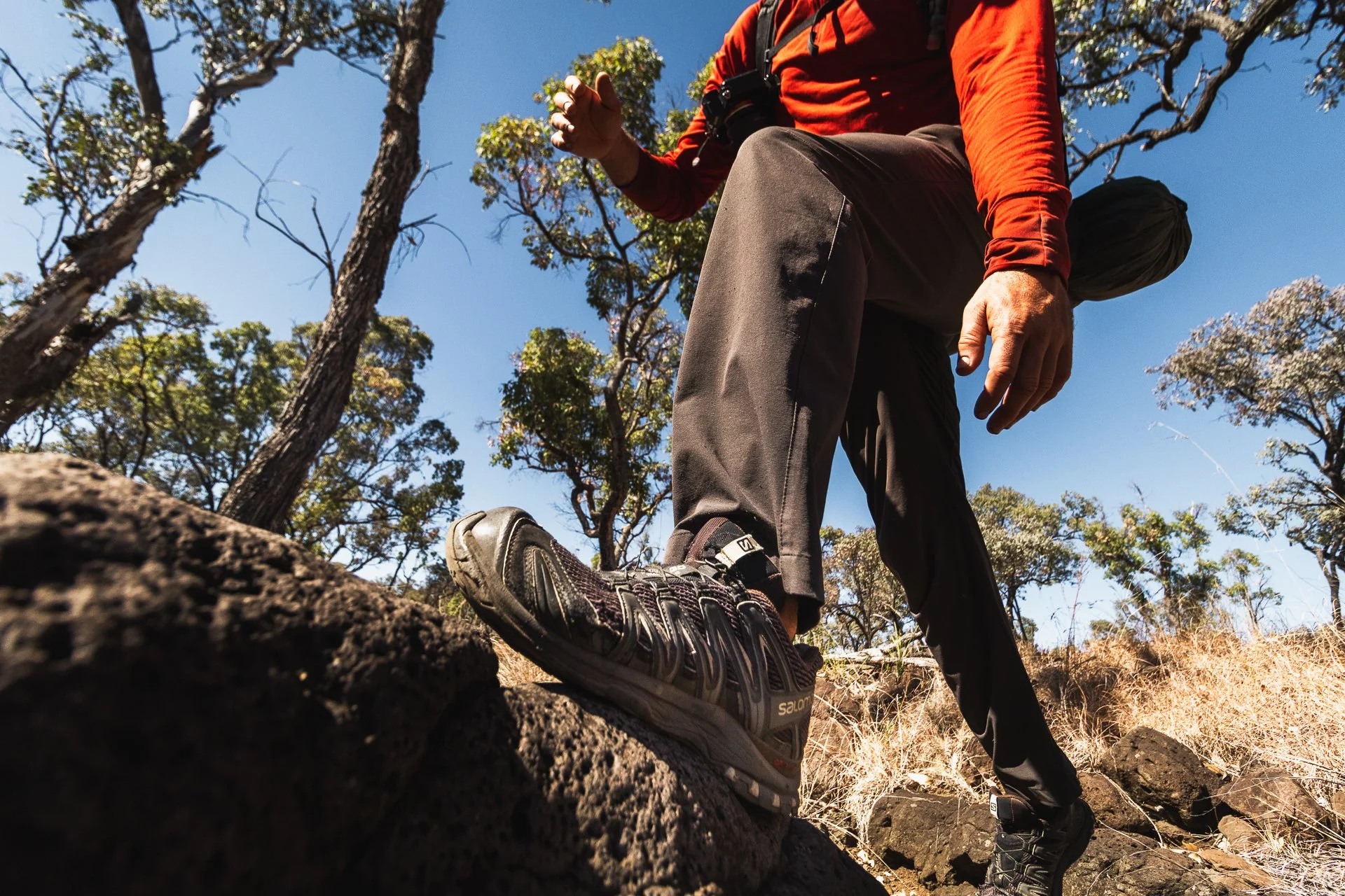 Carnarvon Gorge GW-155.jpg