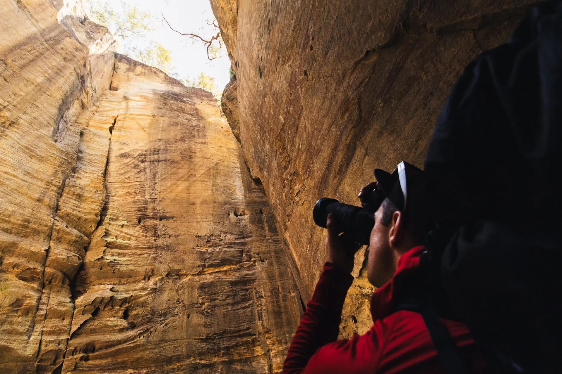 Carnarvon Gorge GW-36.jpg