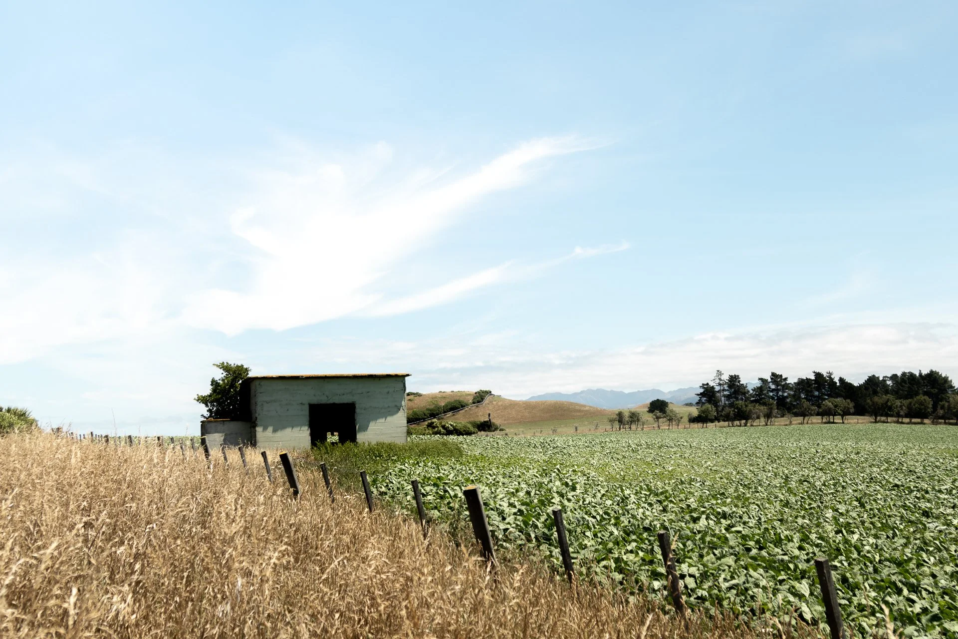 End of Month 2-03.jpg