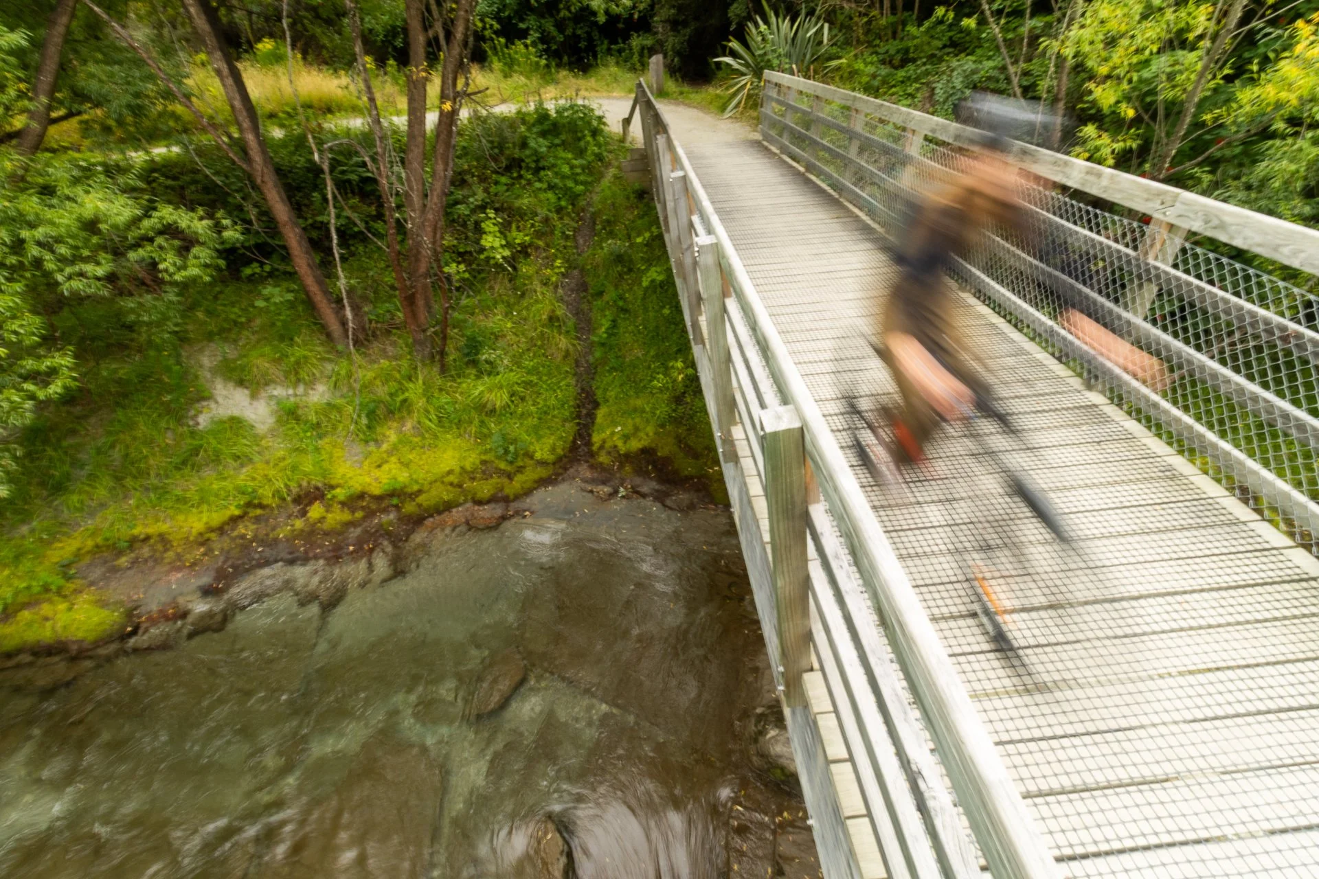 Going Blue Images-067.jpg