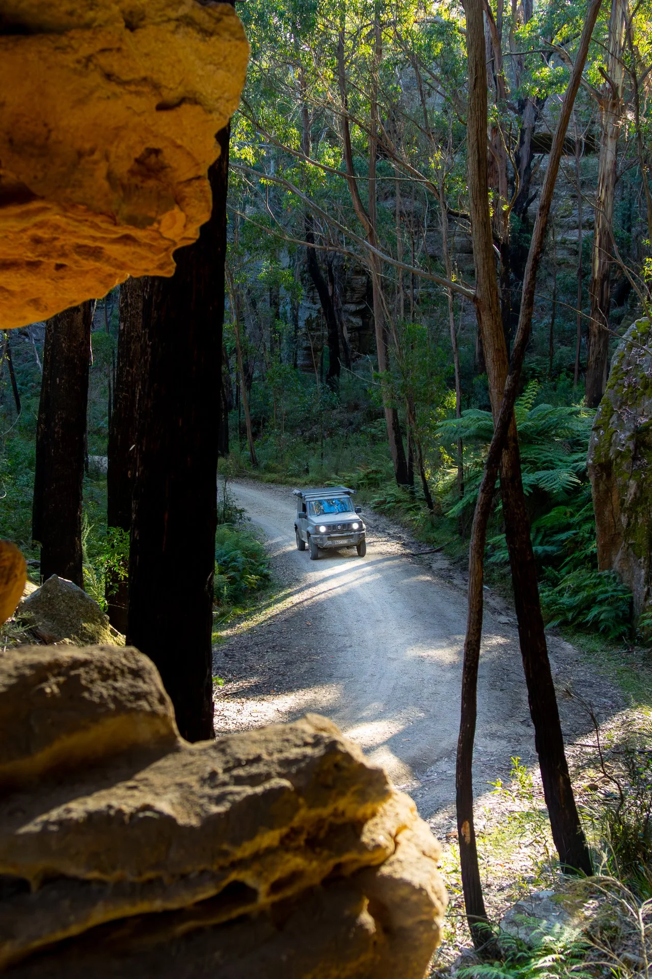 View of a forest trail with a vehicle driving on it, seen through rocks and trees.