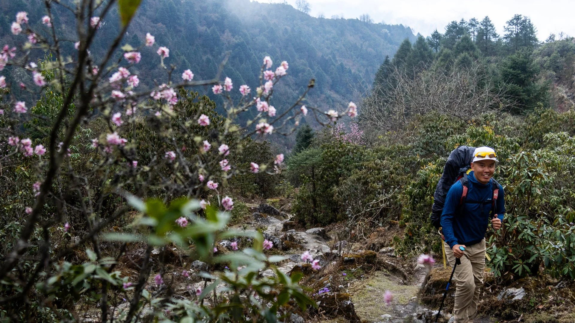 A man hiking on a rocky trail through a lush mountainous landscape with trees and pink flowers, wearing a blue jacket, beige pants, a white cap with sunglasses, and carrying a large backpack.