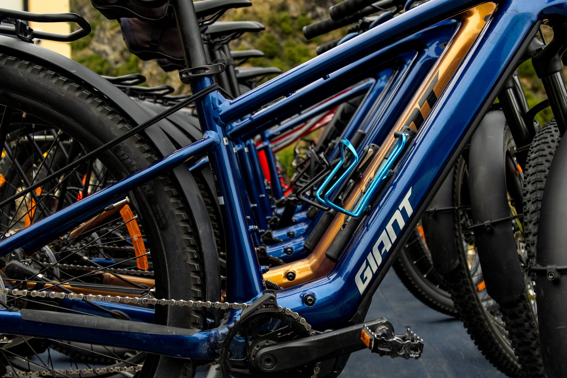 Going Blue Images-005.jpg