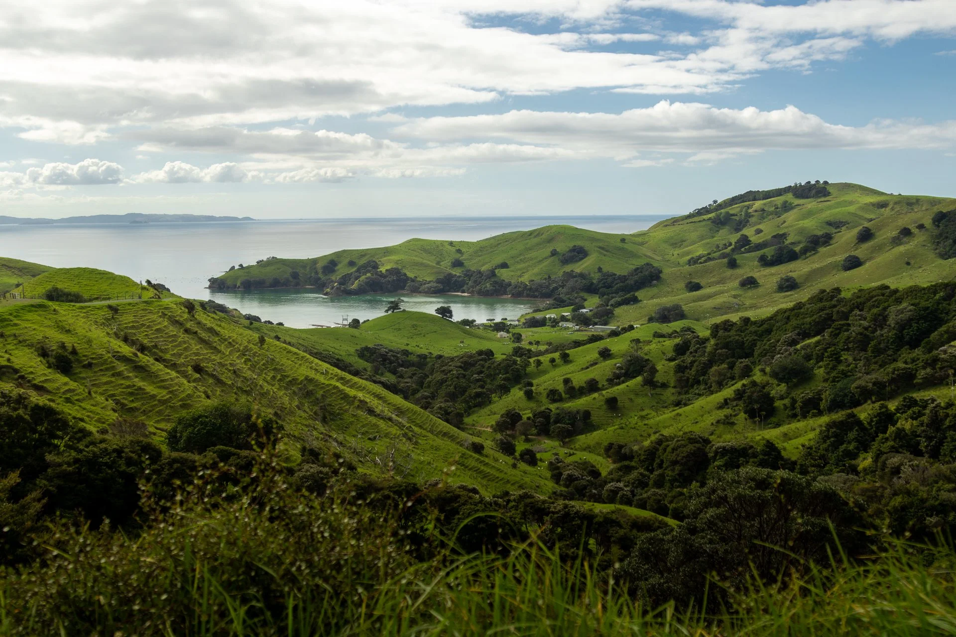 Green rolling hills with scattered trees and a body of water in the distance, under a partly cloudy sky.