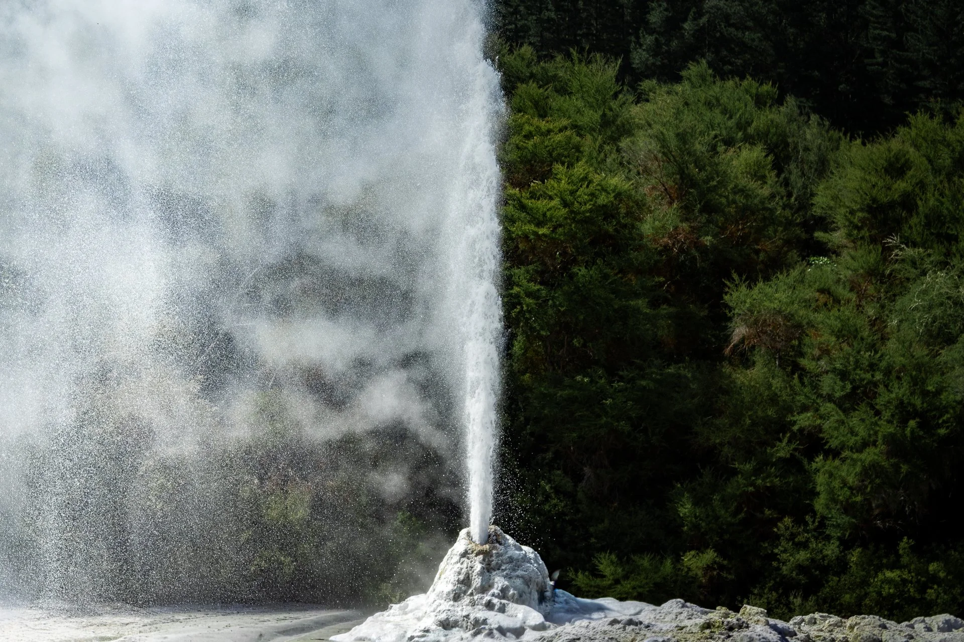 A geyser erupting in a forested area, with water shooting up from a rocky mound amidst green trees.