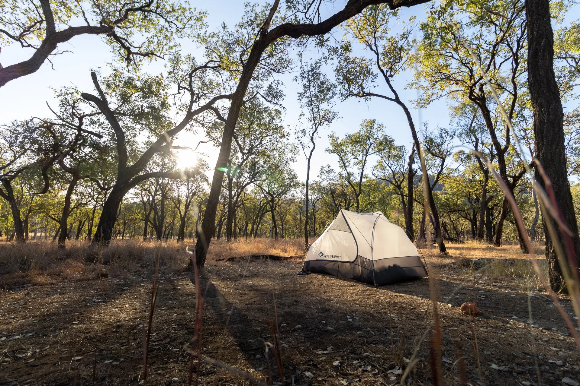 Carnarvon Gorge GW-142.jpg