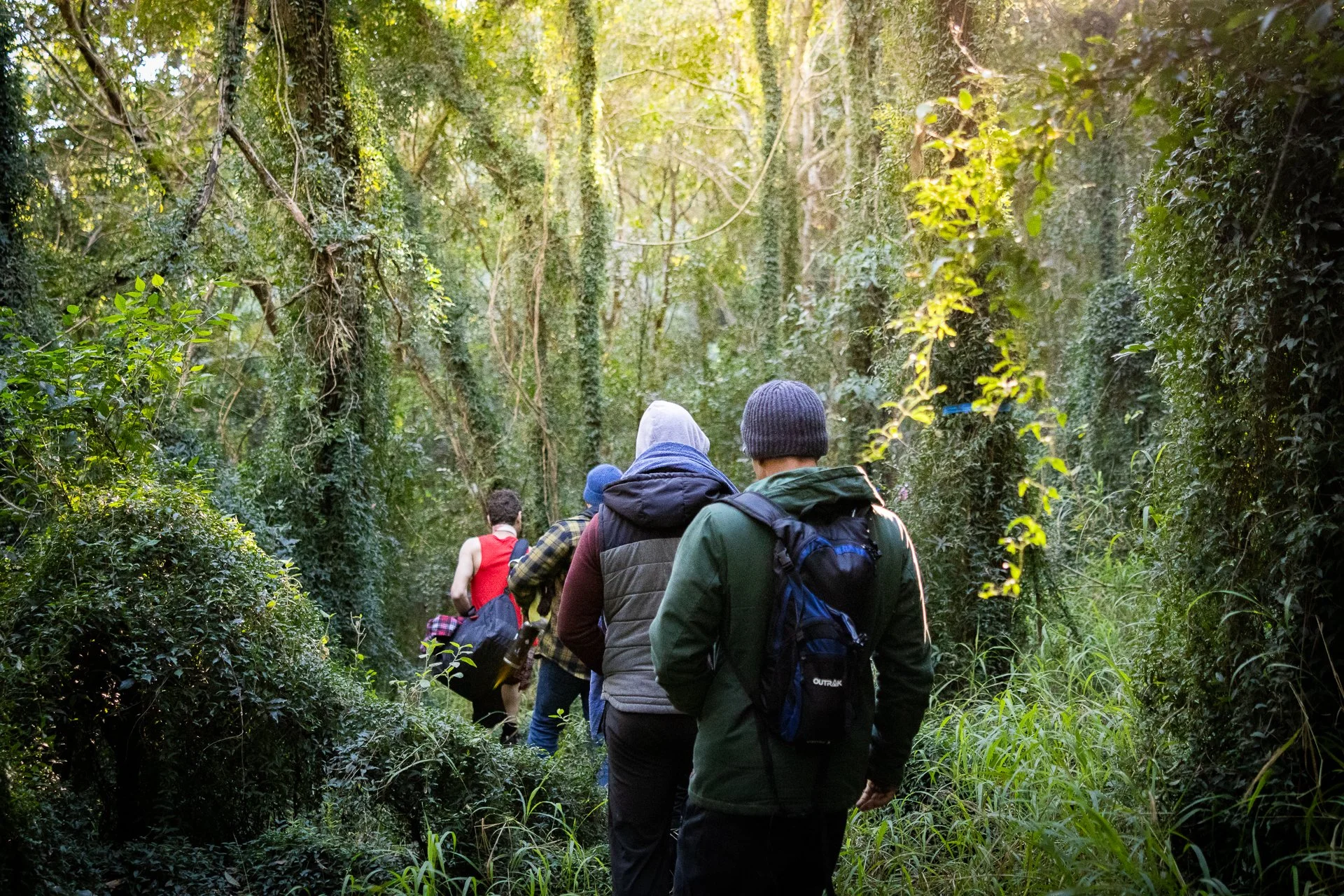 A group of people hiking through a lush, green forest, walking along a narrow trail surrounded by dense foliage and tall trees with sunlight filtering through the leaves.