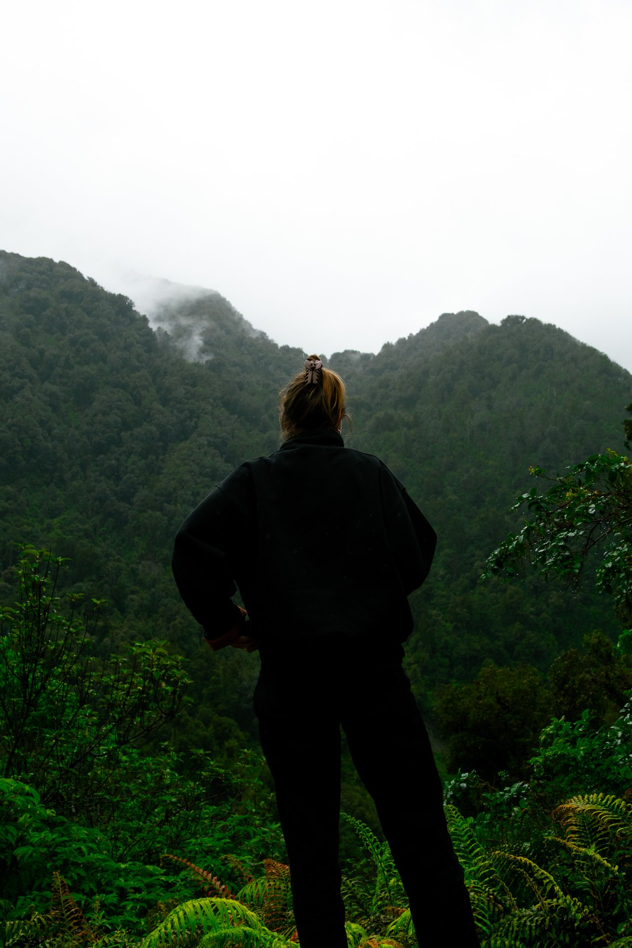 Person standing with hands on hips, facing mountains covered in lush green trees, fog, and low-hanging clouds, in a forested area.