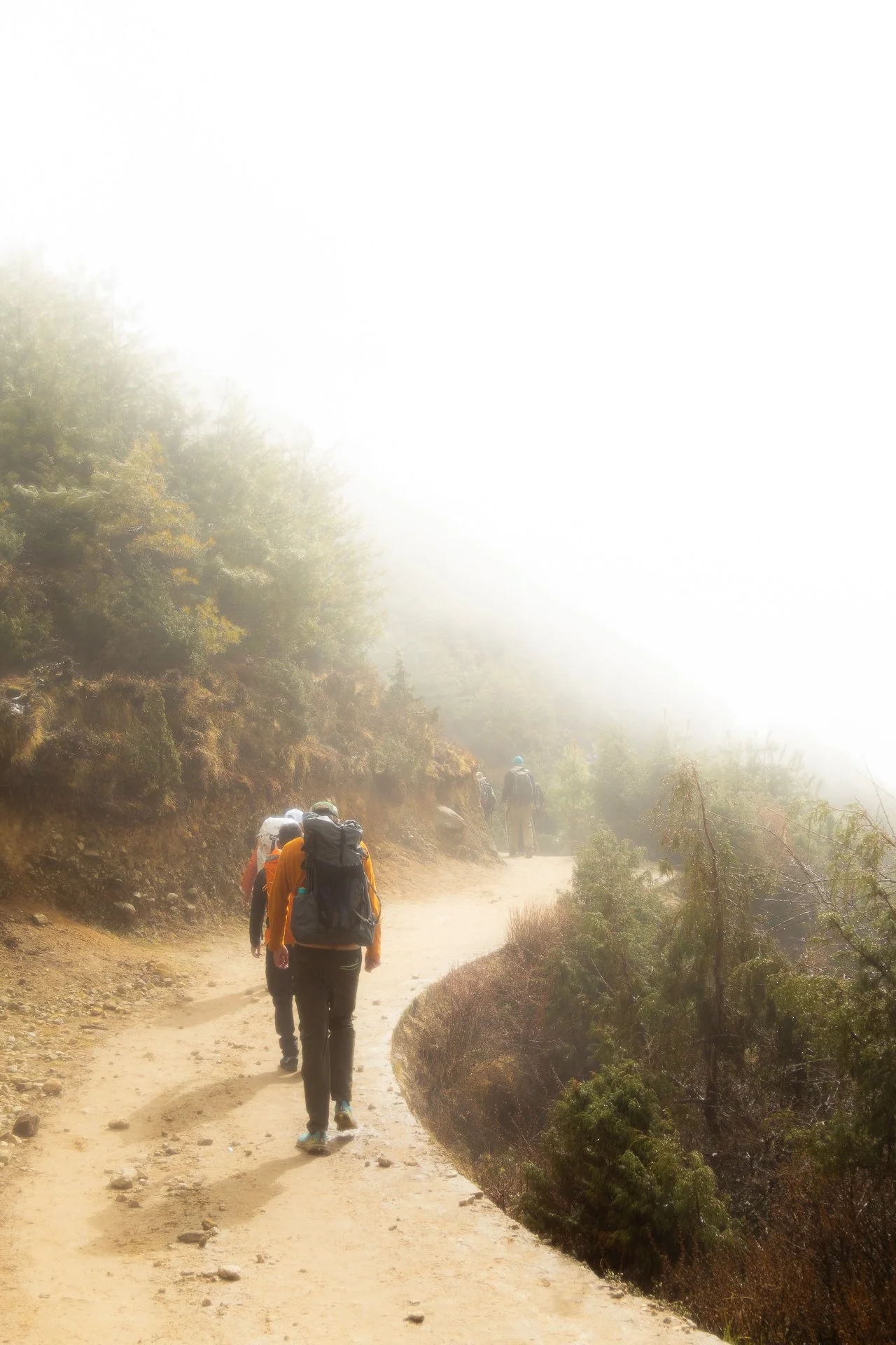 Hikers walking on a trail surrounded by trees and fog, mountain landscape in the background.