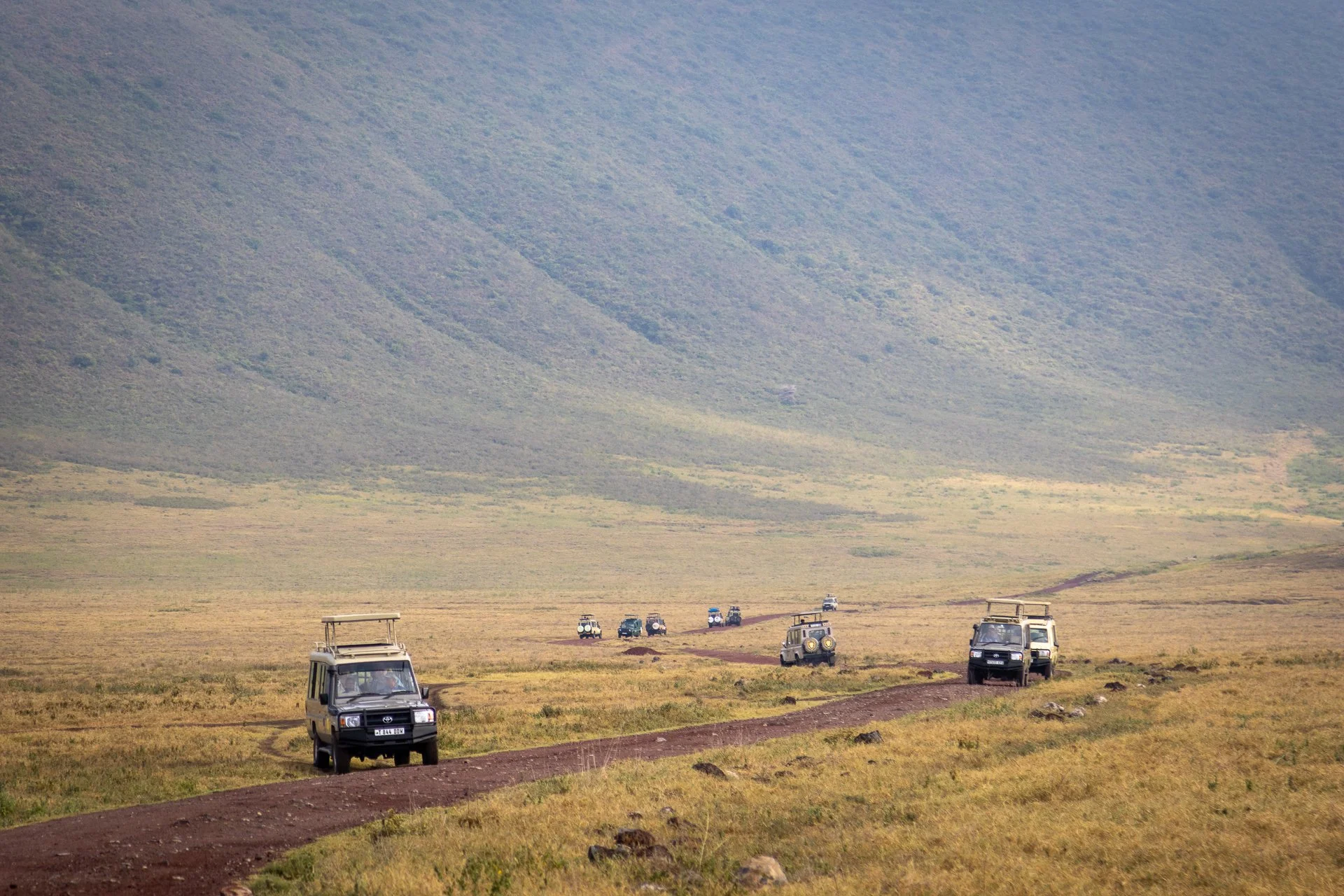 Fleet of safari vehicles driving along a dirt road through a flat grassland with a mountain in the background.