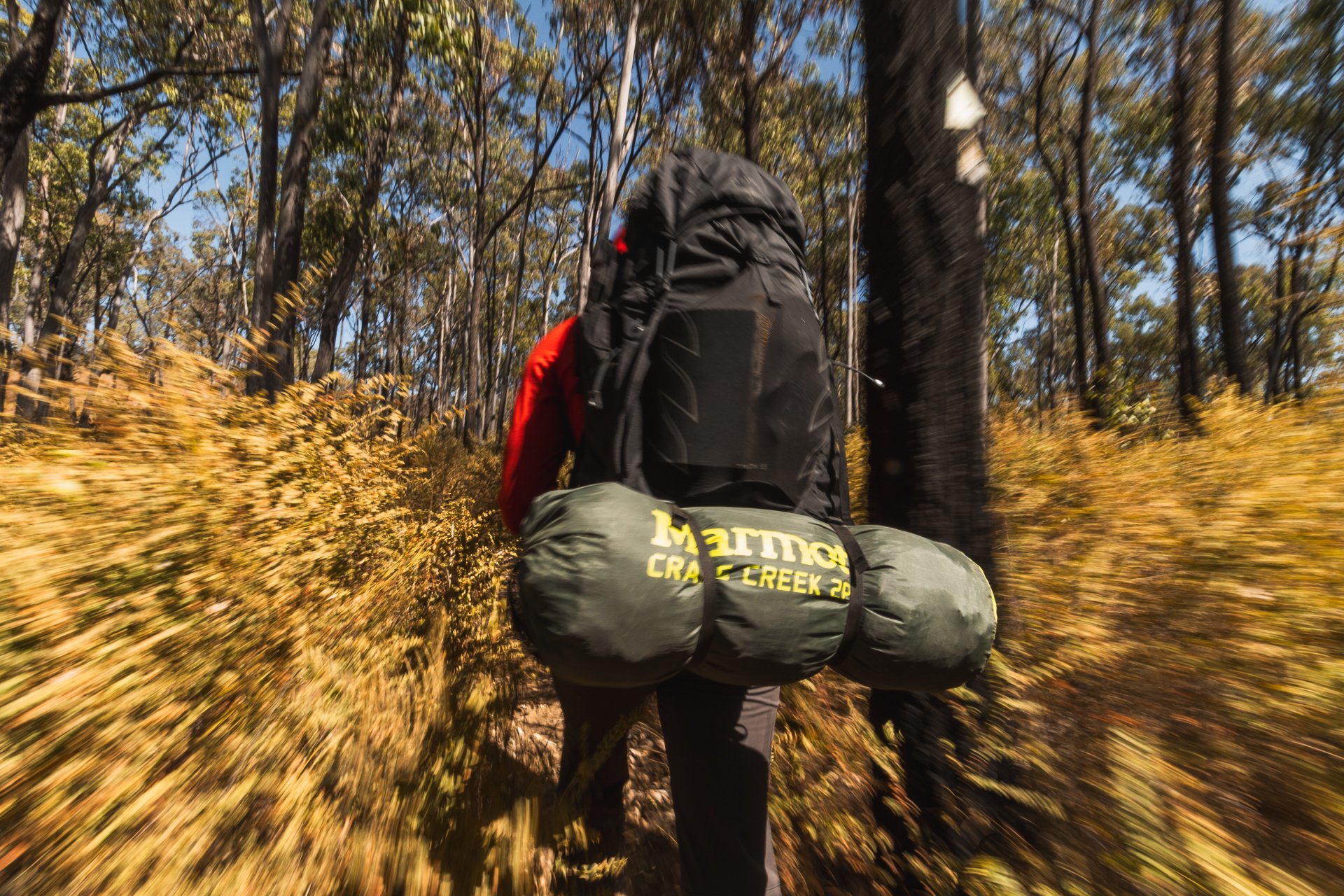Carnarvon Gorge GW-105.jpg
