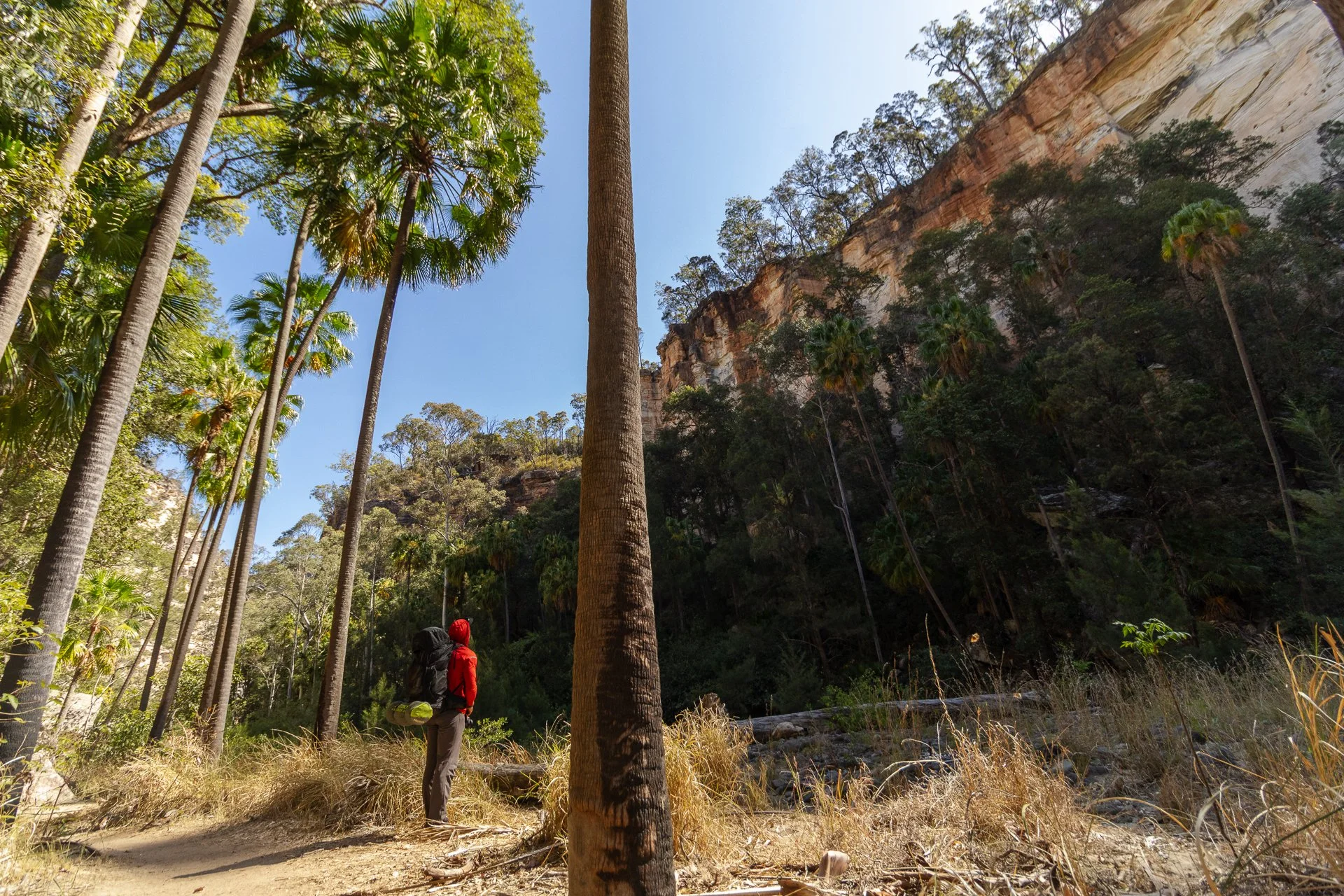Carnarvon Gorge GW-64.jpg