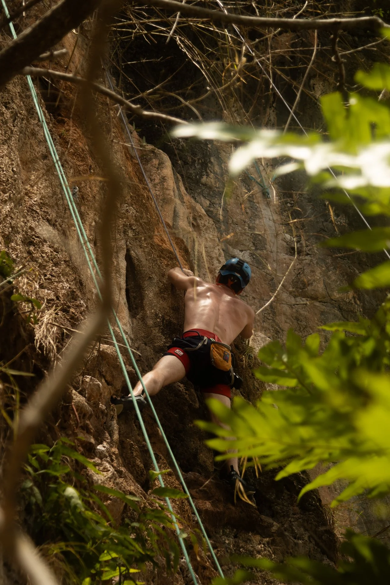 A shirtless man wearing a helmet and climbing gear is ascending a rocky cliff face with climbing ropes, surrounded by greenery and branches.