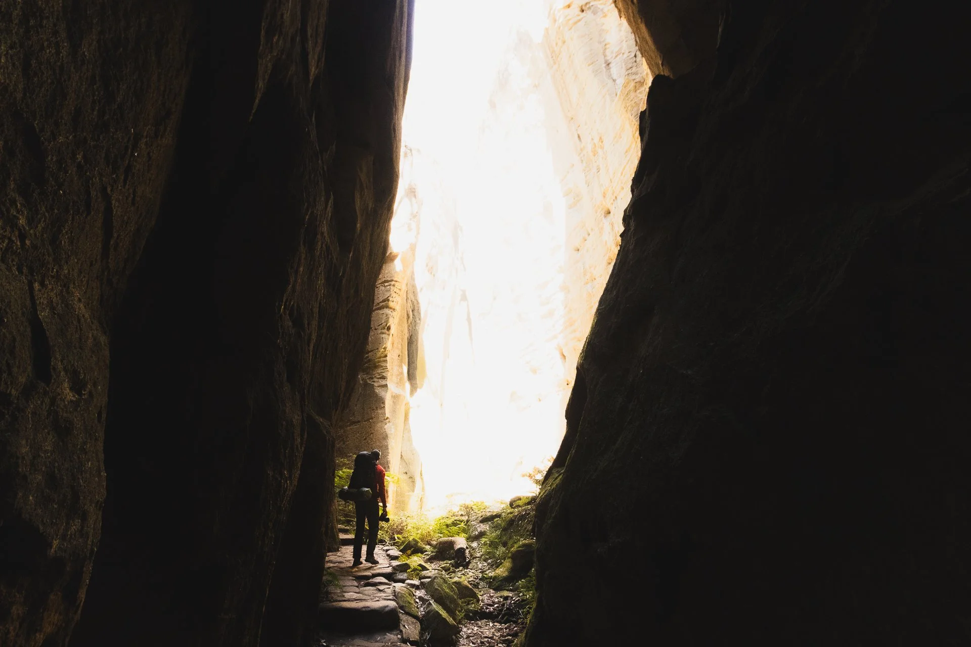 Carnarvon Gorge GW-28.jpg