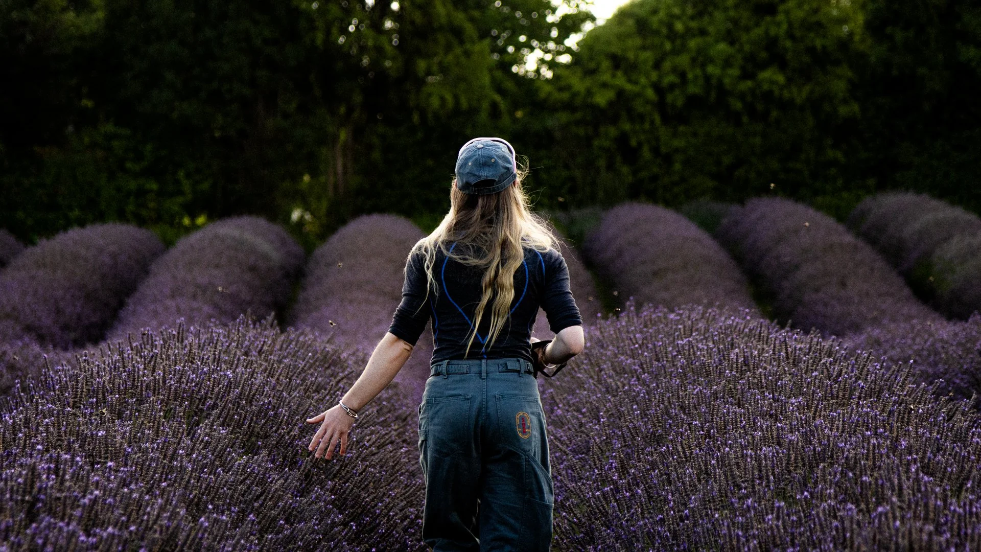 A woman with long blonde hair, wearing a blue cap and dark clothing, walks through a field of lavender flowers with green trees in the background.