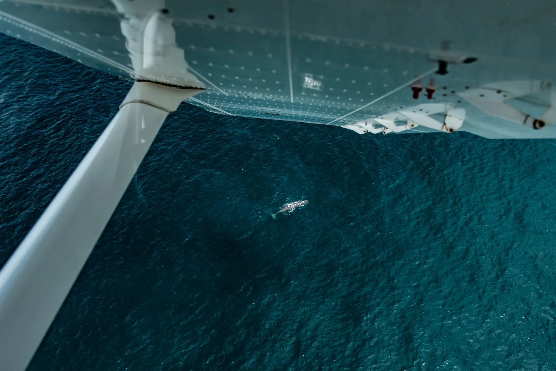 View from under a sailing boat over open ocean water, showing the boat's underside, a boat hull with dots and lines, and a small motorboat below.