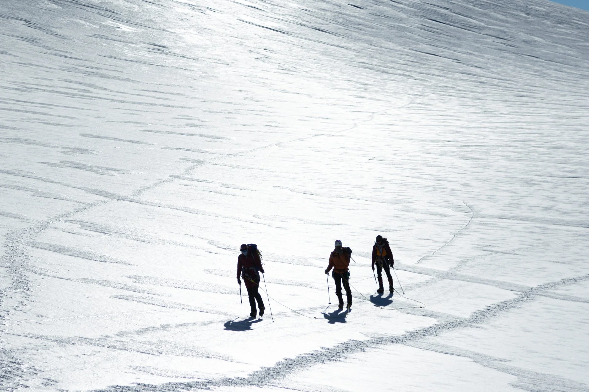 Four people skiing on a snow-covered mountain slope, with tracks visible in the snow and a clear, bright sky.