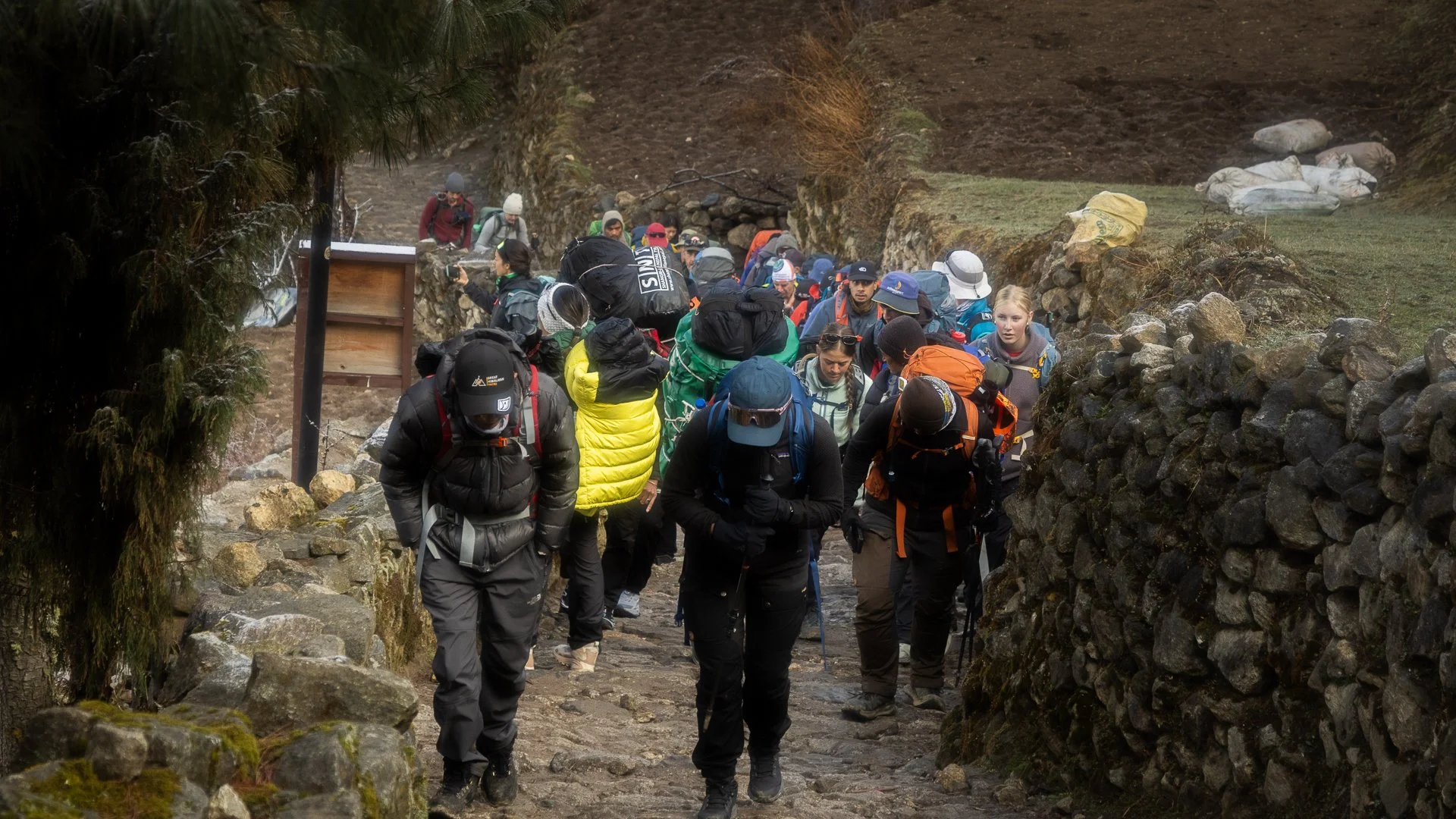 Group of hikers wearing backpacks and outdoor gear walking along a trail between stone walls in a rural area.