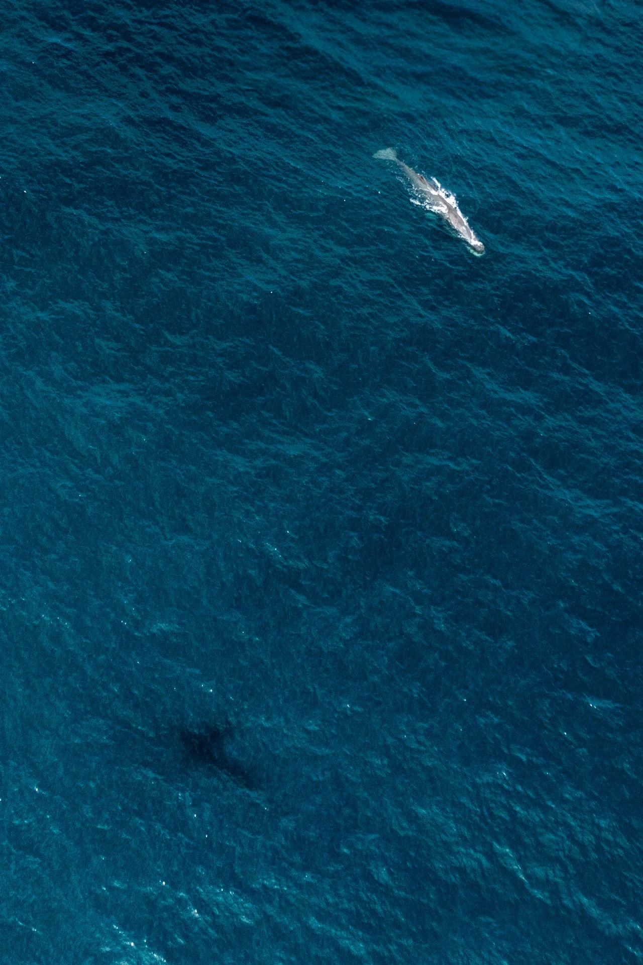 End of Month 2-30.jpg