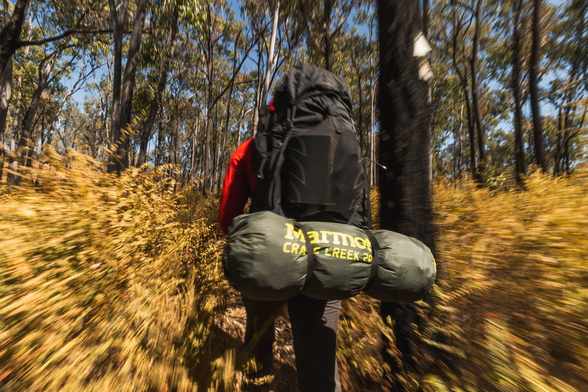 Carnarvon Gorge GW-105.jpg