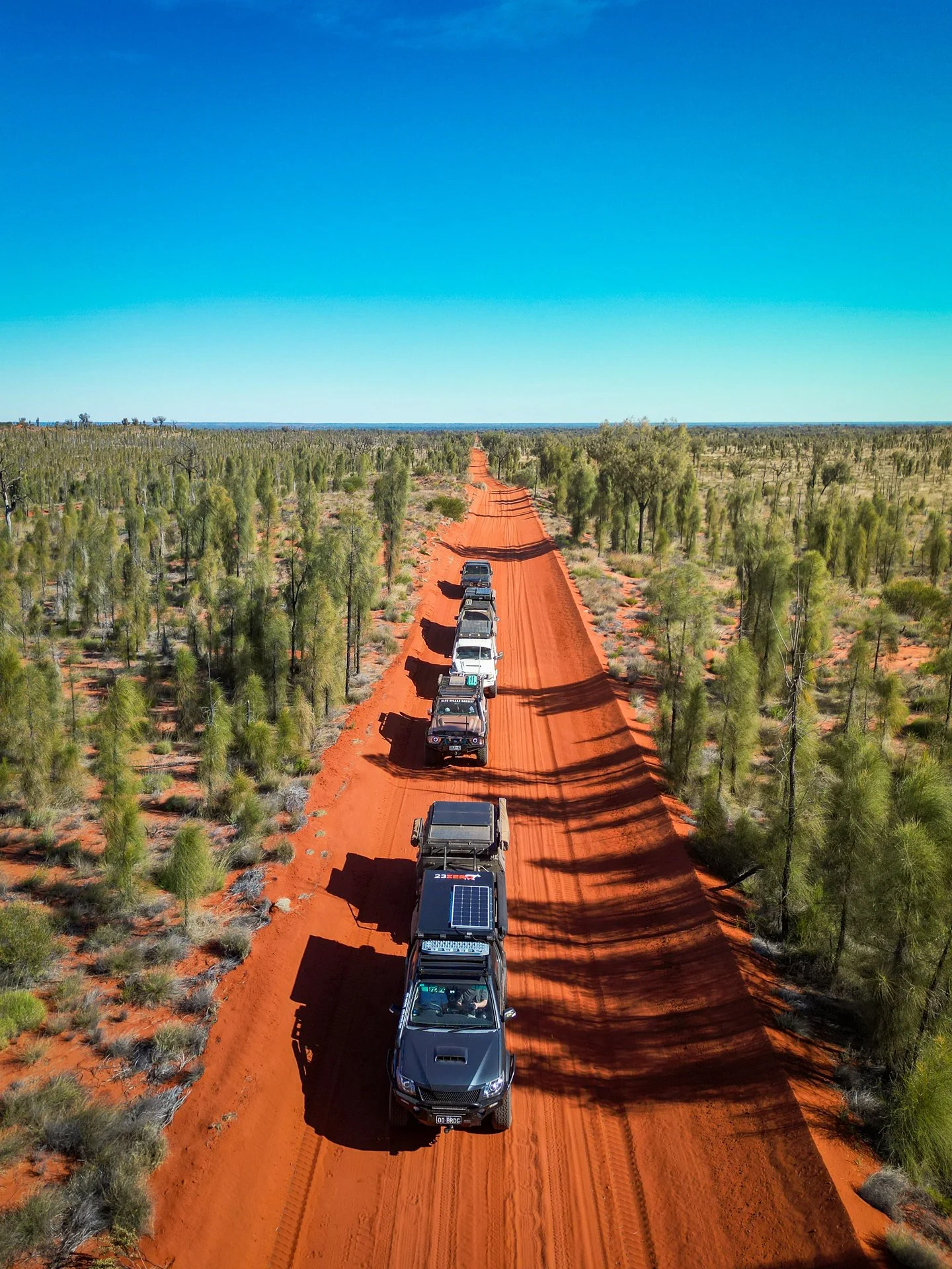 A line of off-road vehicles driving on a reddish dirt road through a semi-arid landscape with scattered green bushes and trees under a clear blue sky.