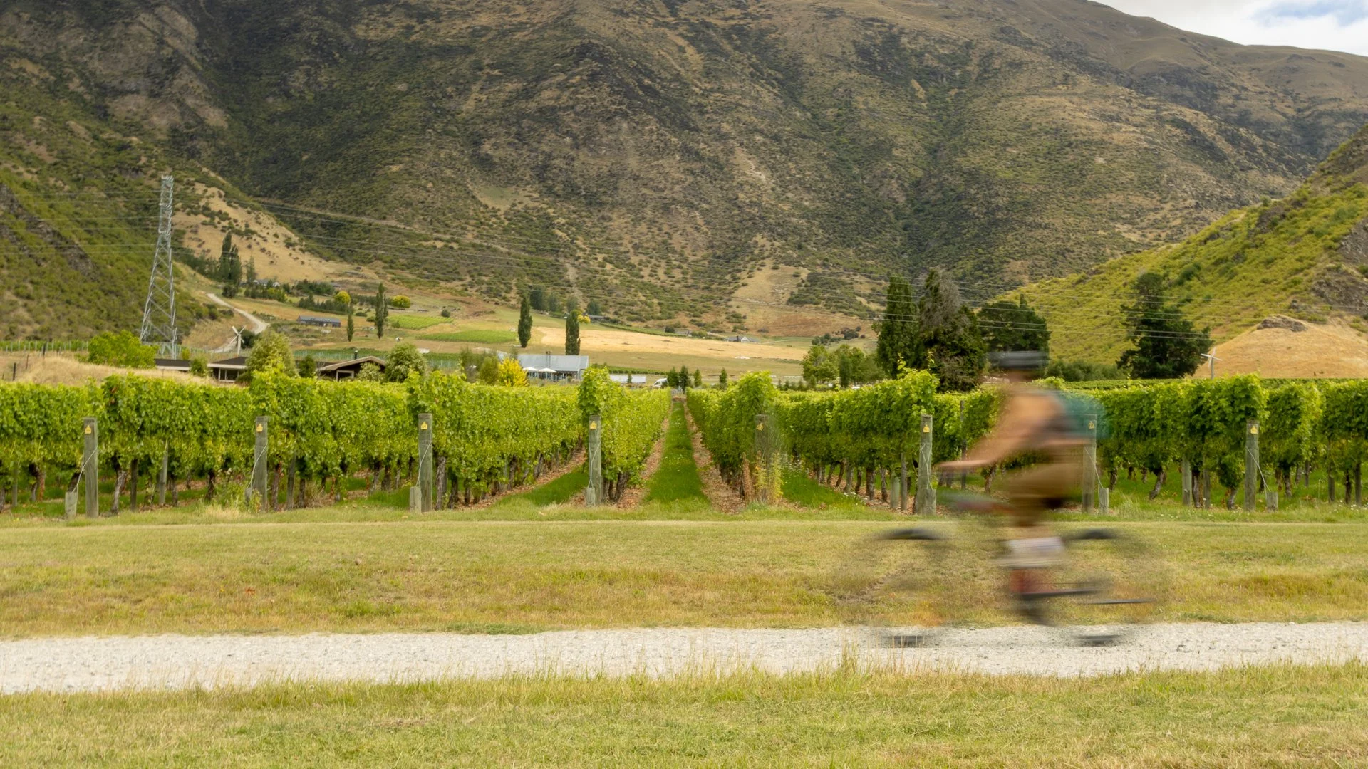 Going Blue Images-217.jpg