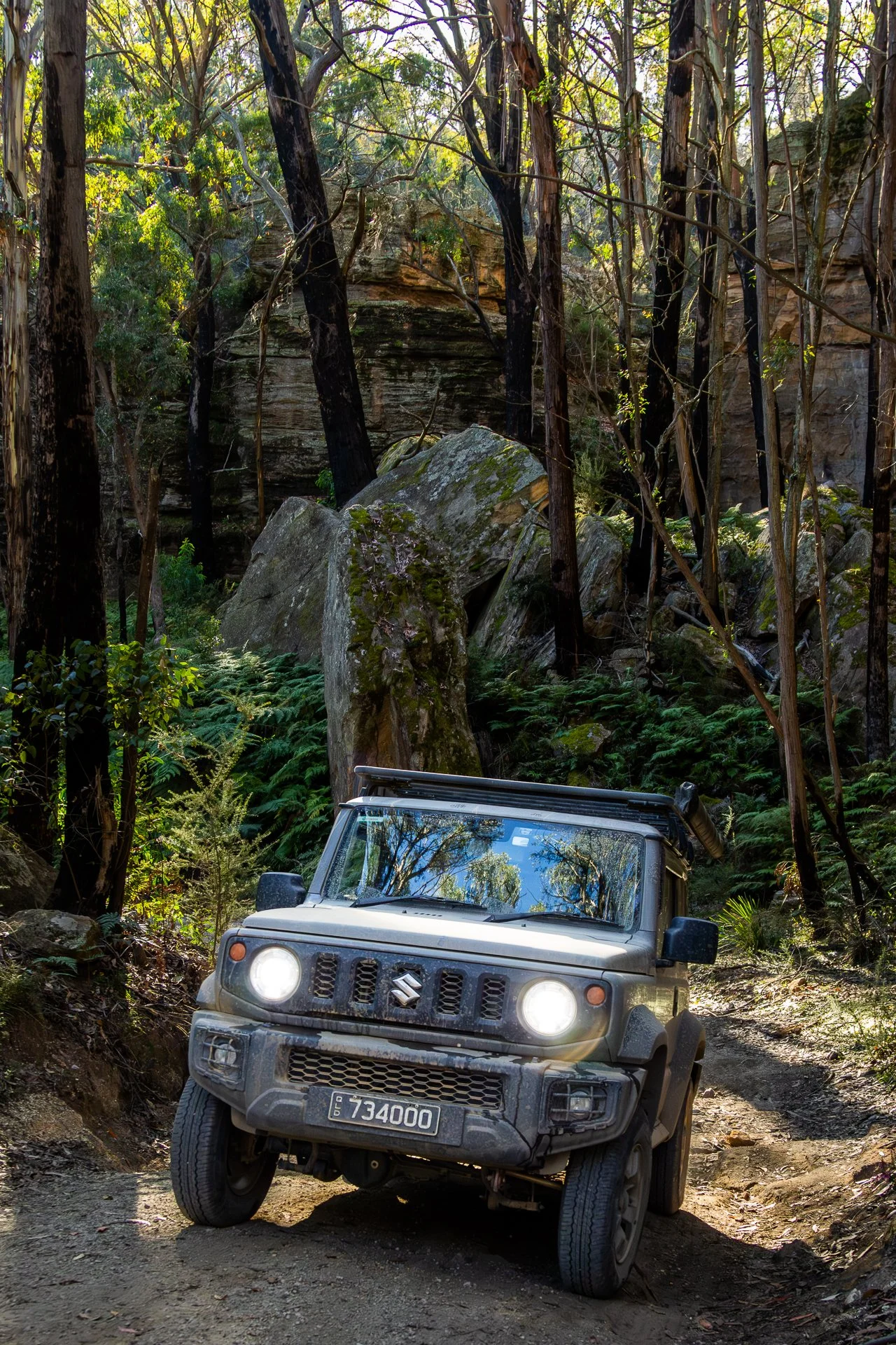 A silver Suzuki off-road vehicle navigating a rugged dirt trail in a dense forest with tall trees, large rocks, and green foliage.