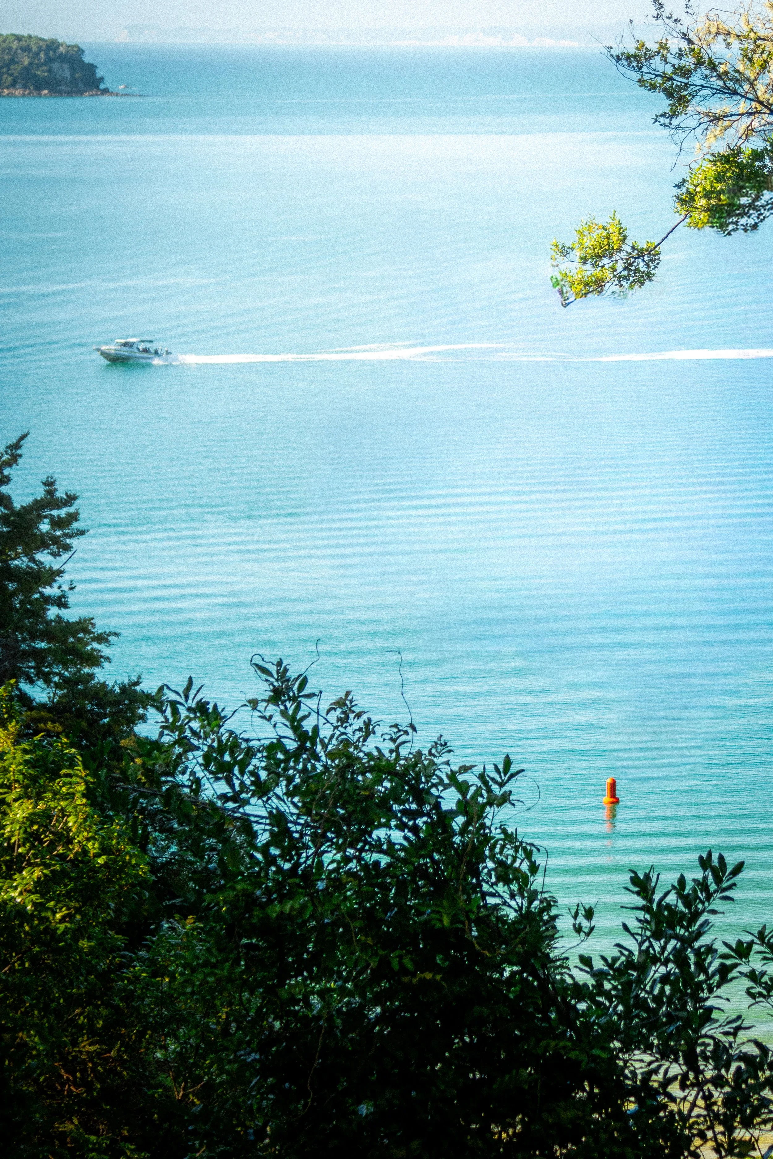 A peaceful view of a body of water with a boat moving across it, leaving a wake behind. The scene is framed by green foliage in the foreground and distant landmasses in the background.