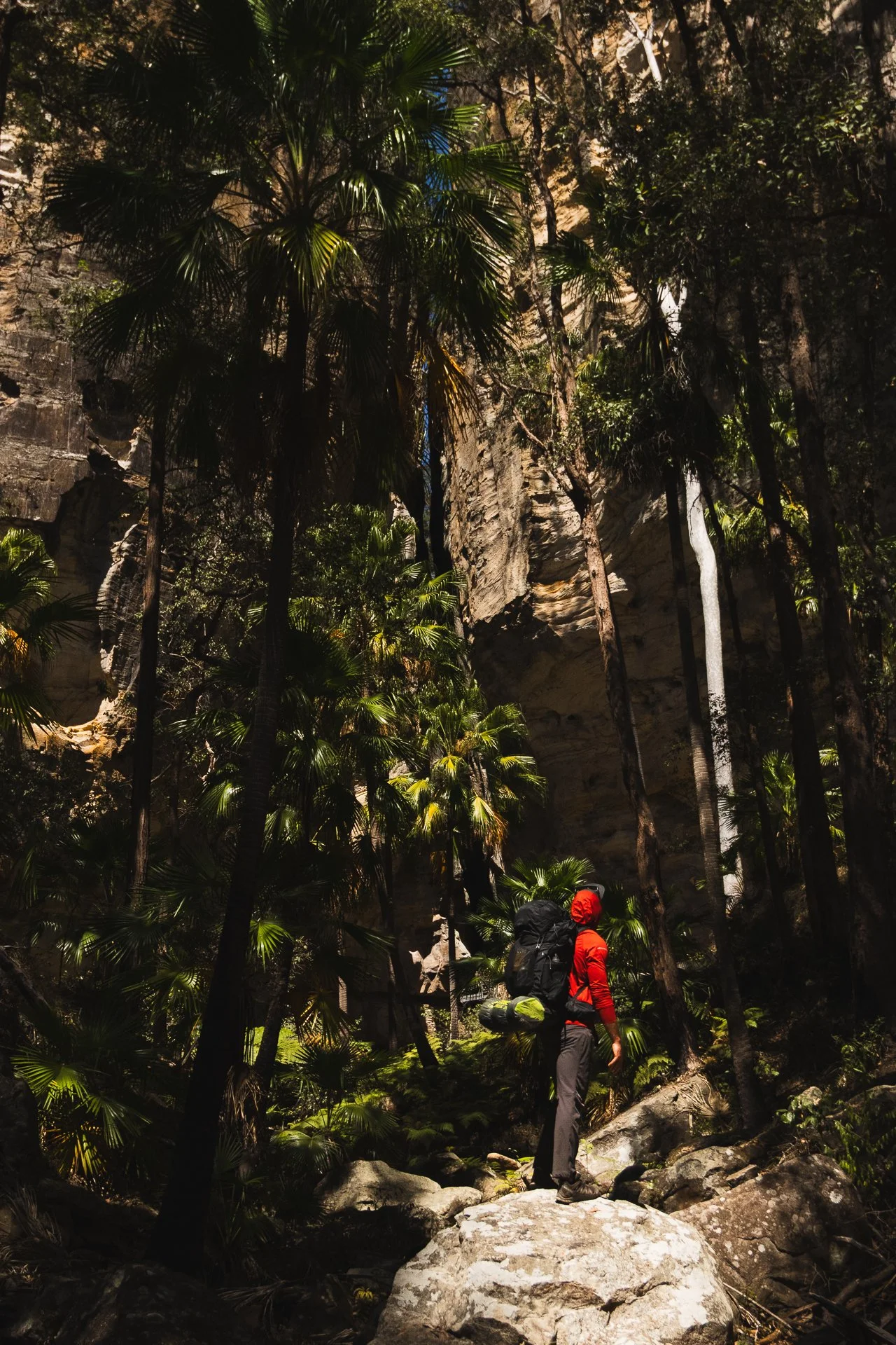 Carnarvon Gorge GW-20.jpg