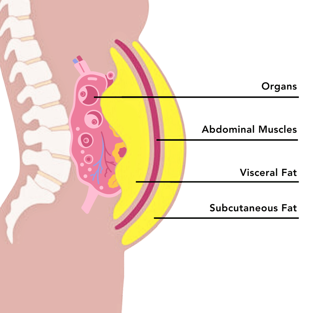 Fat Freezing for Belly | Coolsculpting Services