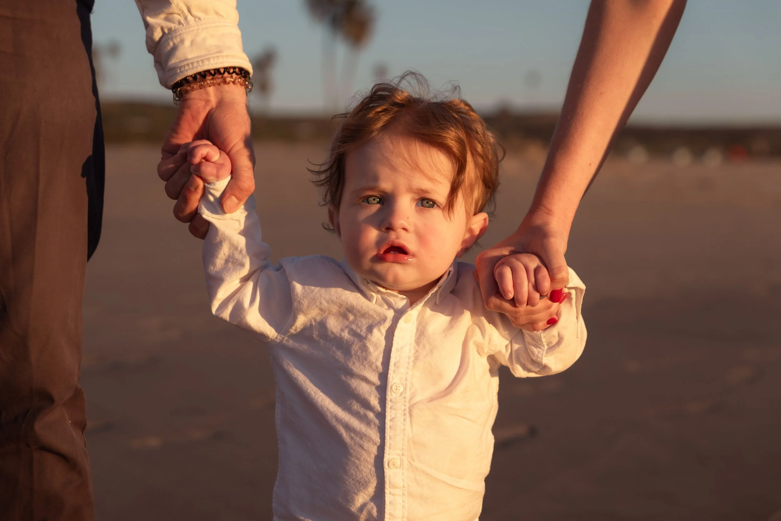 DW_The Carlisles website_001.JPG