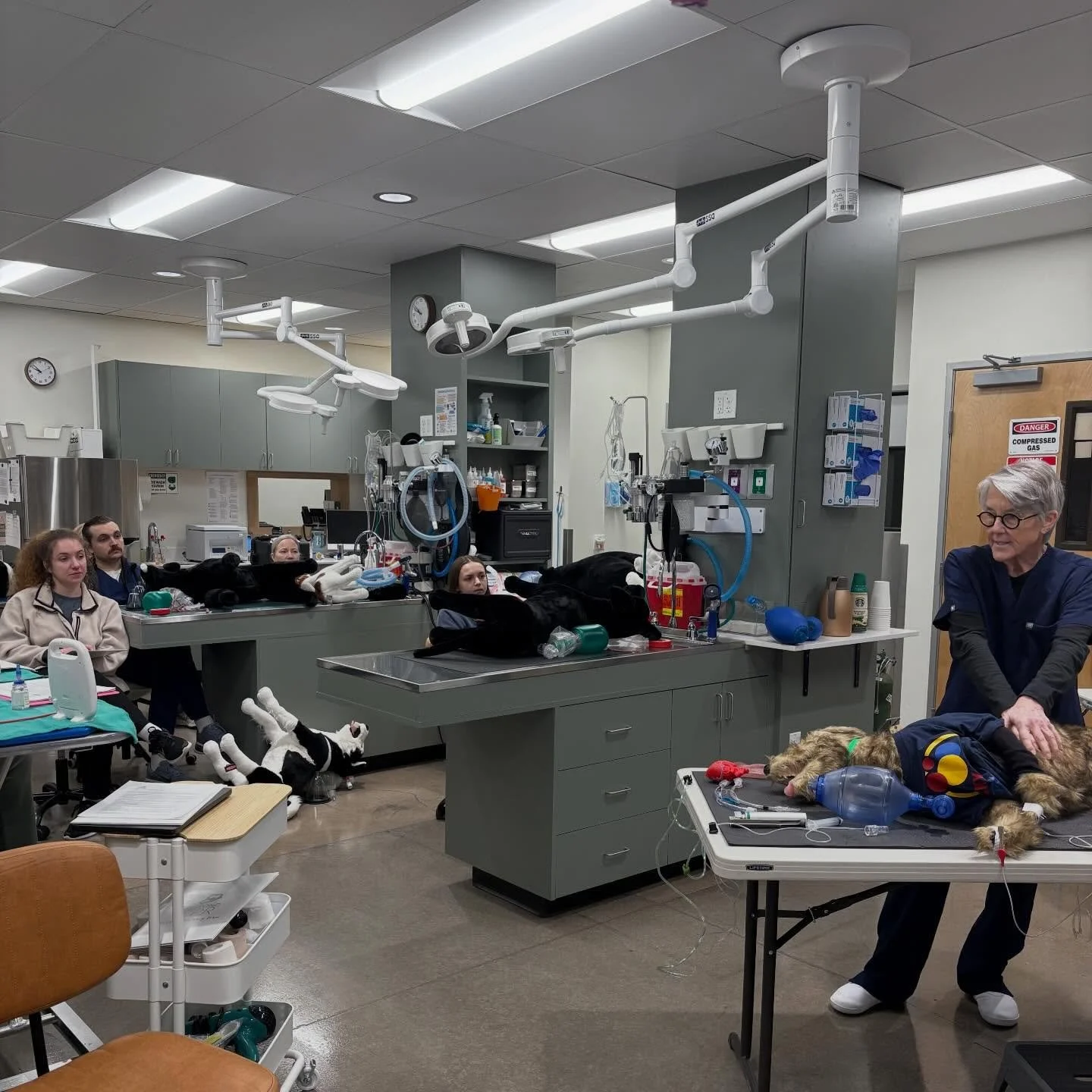 Hands-on CPR training with RECOVER at Spruce Vet Urgent Care! Continuous learning, practicing, and leveling up together. @recoverinitiative
https://www.respondcprveterinaryteam.com
&bull;
&bull;
&bull;
&bull;
&bull;
&bull;
#spruceveterinaryurgentcare