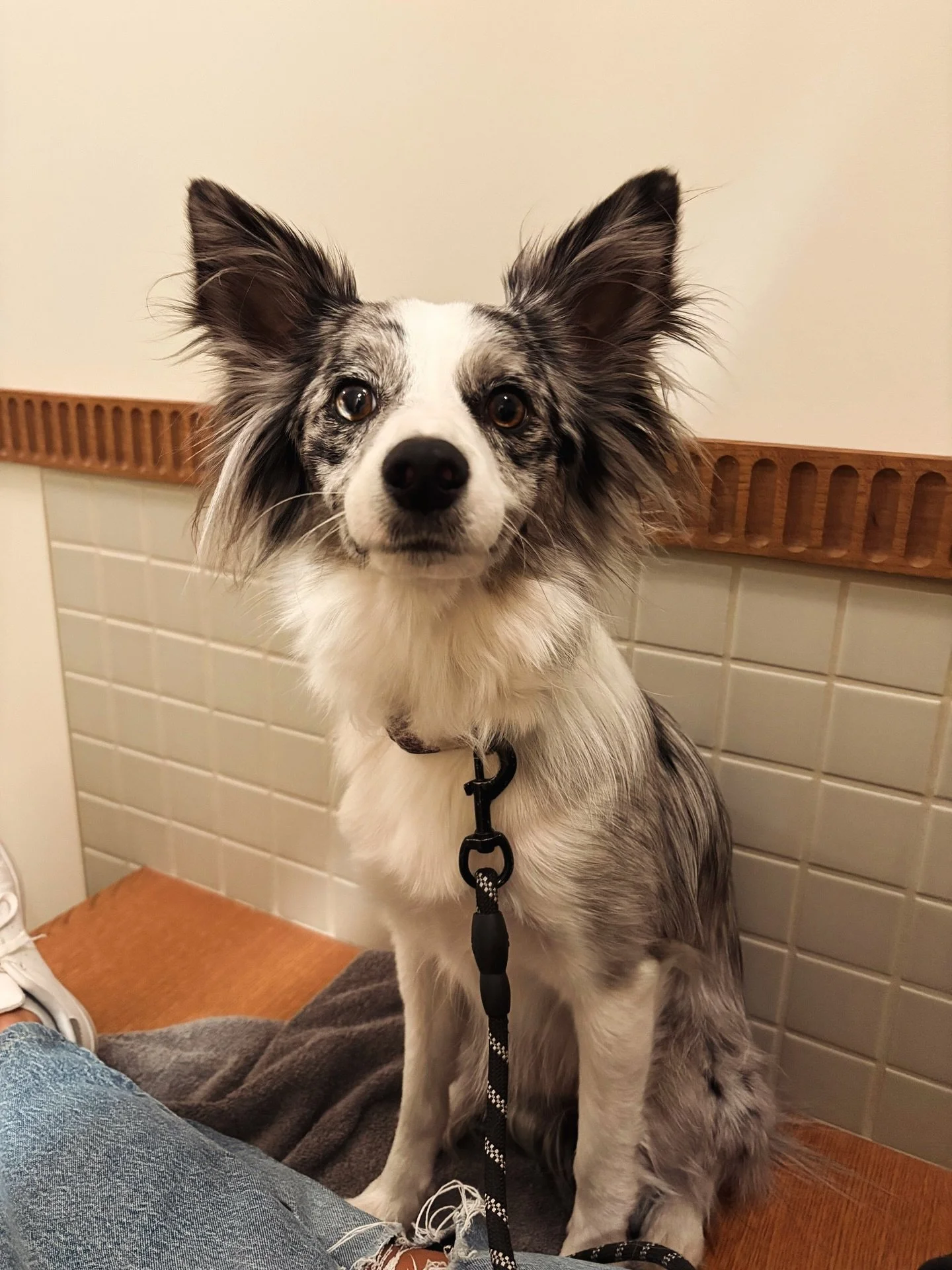 That face you make when someone says &ldquo;ICE is just doing their job&rdquo; ⬅️

Today we&rsquo;re standing in solidarity with the General Strike and the immigrant communities being targeted and harmed. As a small business, we&rsquo;re staying open