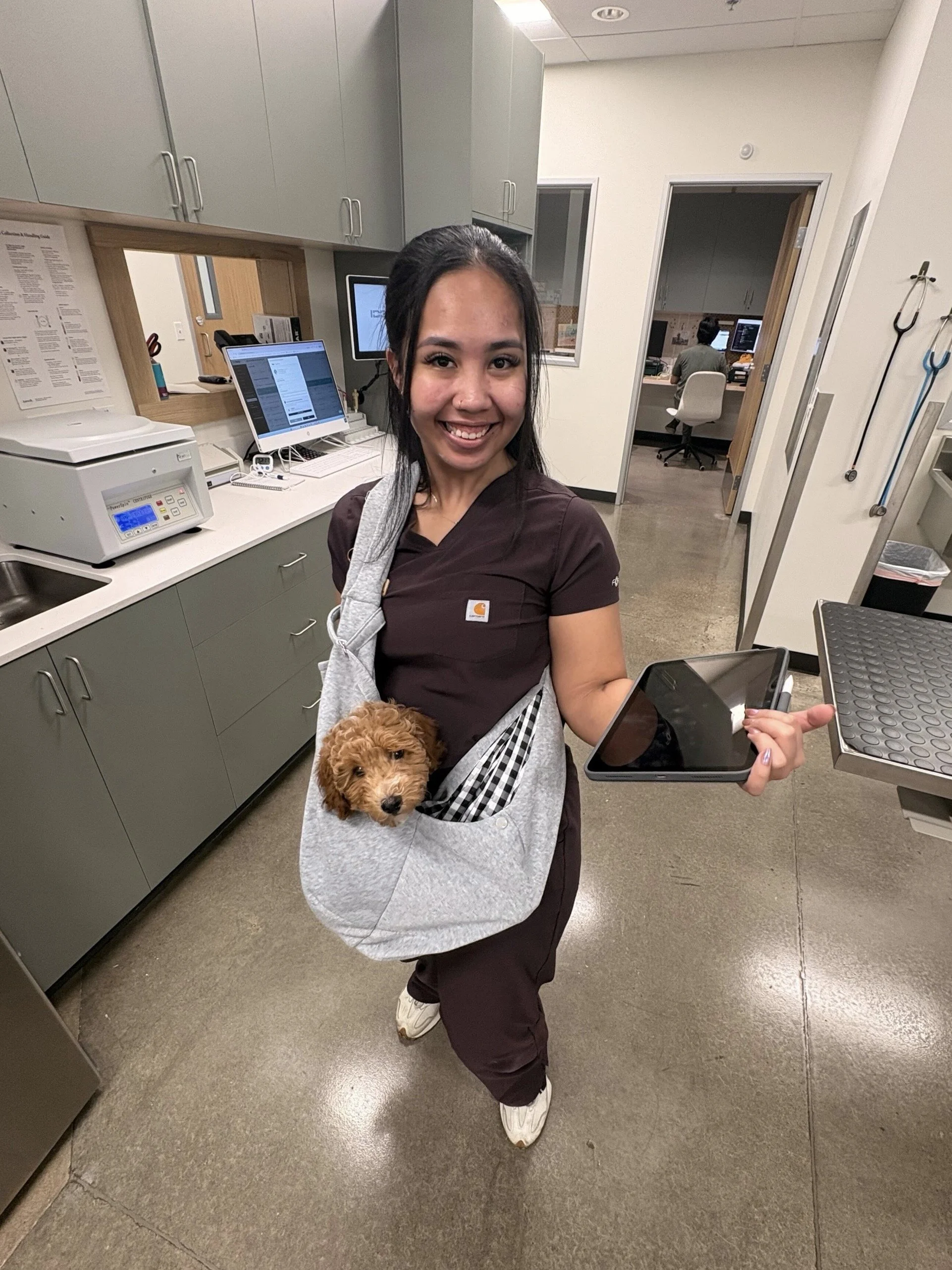 Logo for Spruce Veterinary Urgent Care in Hillsboro, Oregon, featuring a stylized green pine tree on a light green background.