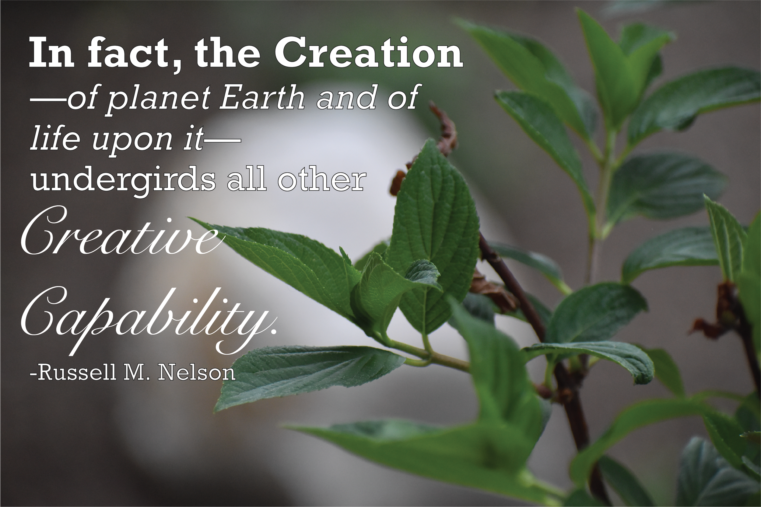 Excerpt from "The Creation" a talk given by Russel M. Nelson in the Sunday afternoon session of General Conference April 2000
