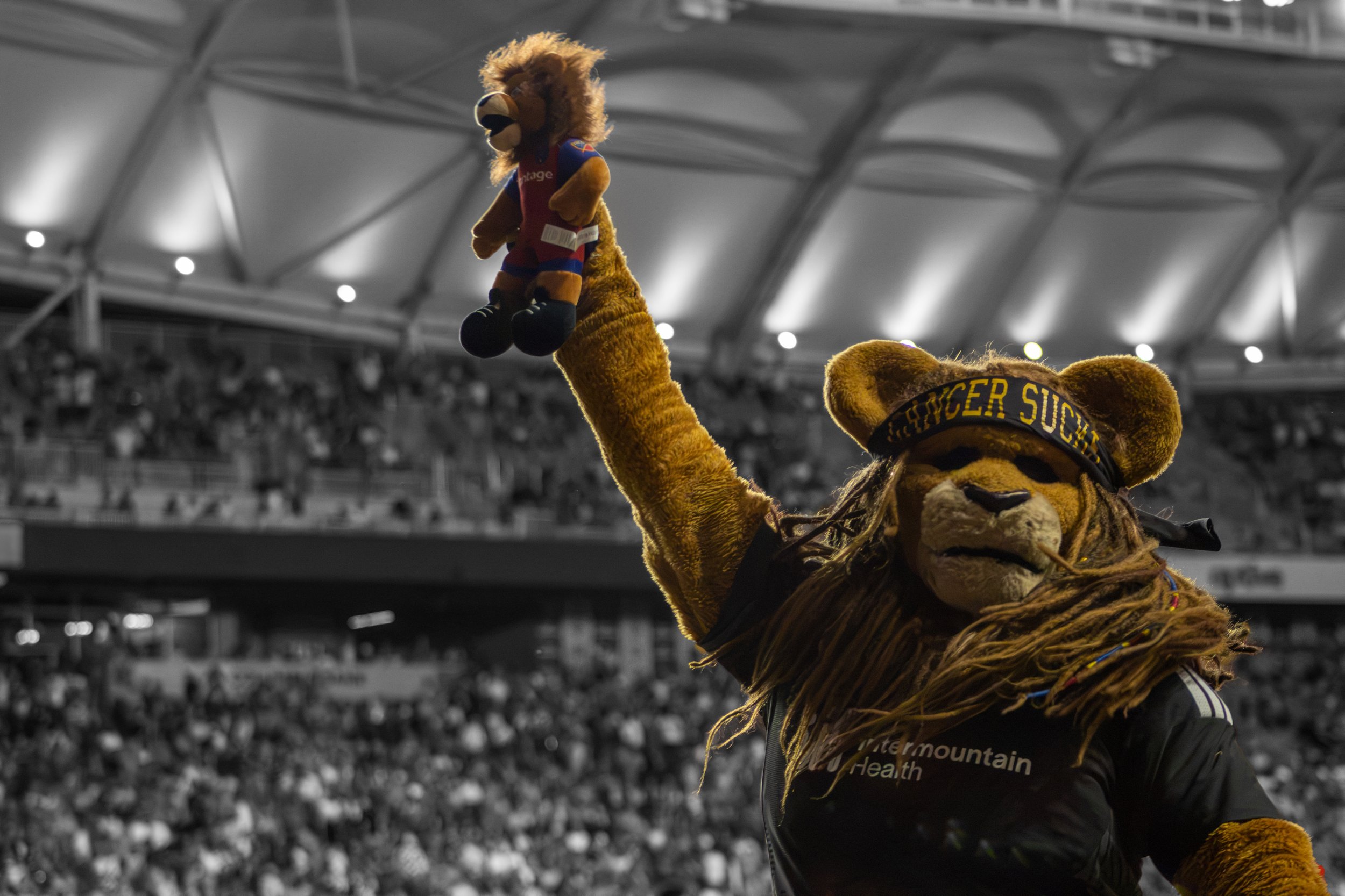 Leo the Lion holding up a plush version of himself that's been donated to Primary Children's Hospital in the Teddy Bear Toss at America First Field. Taken by Giles Sims